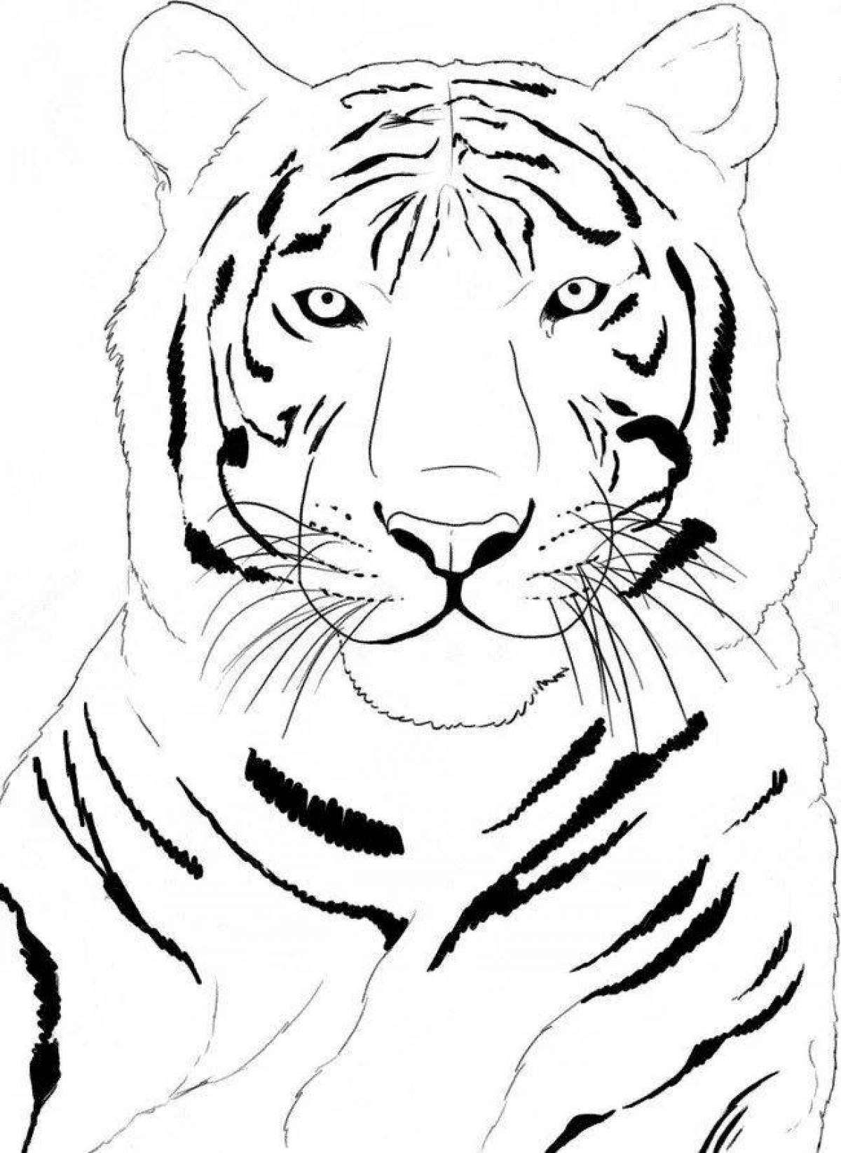 Раскраска большой белый тигр
