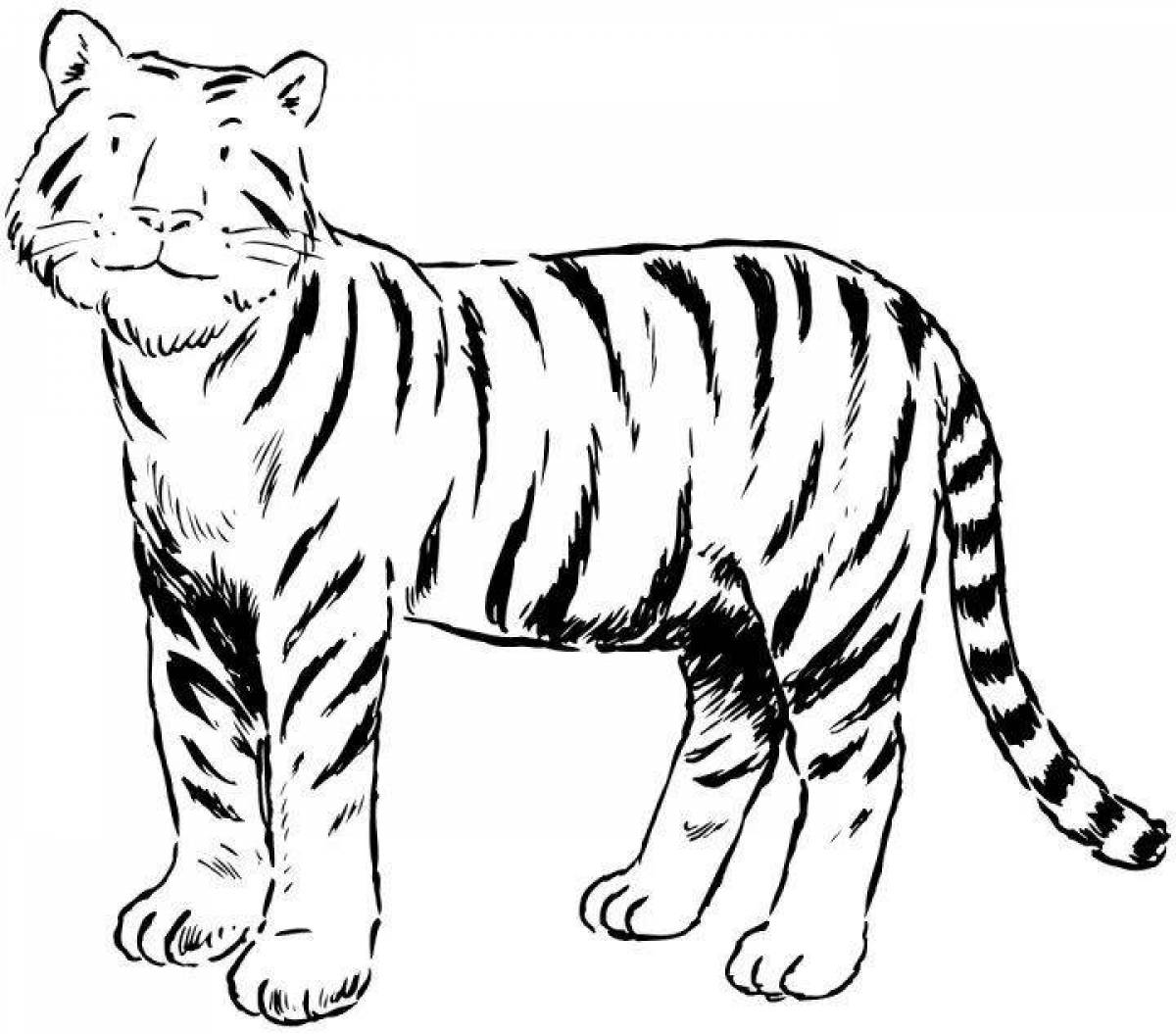 Раскраска царственный белый тигр