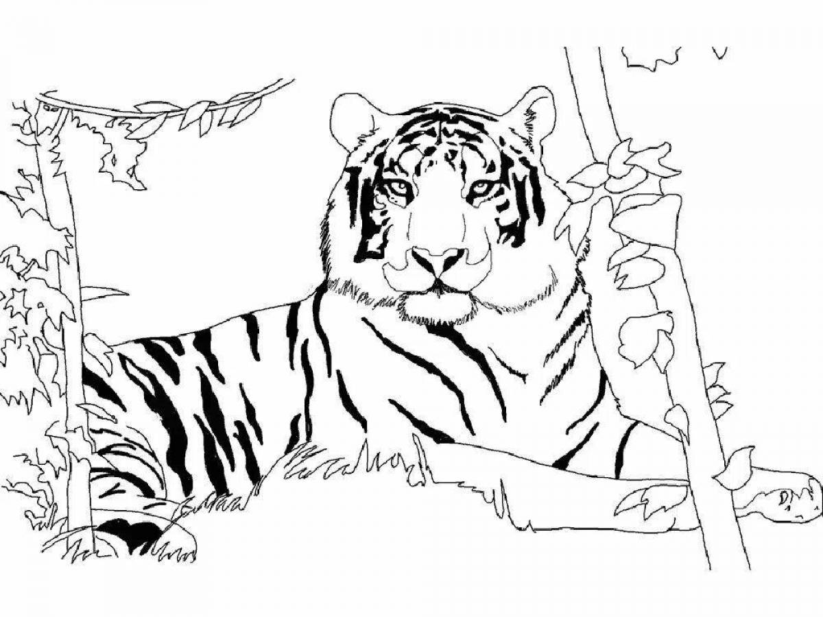 Раскраска изящный белый тигр