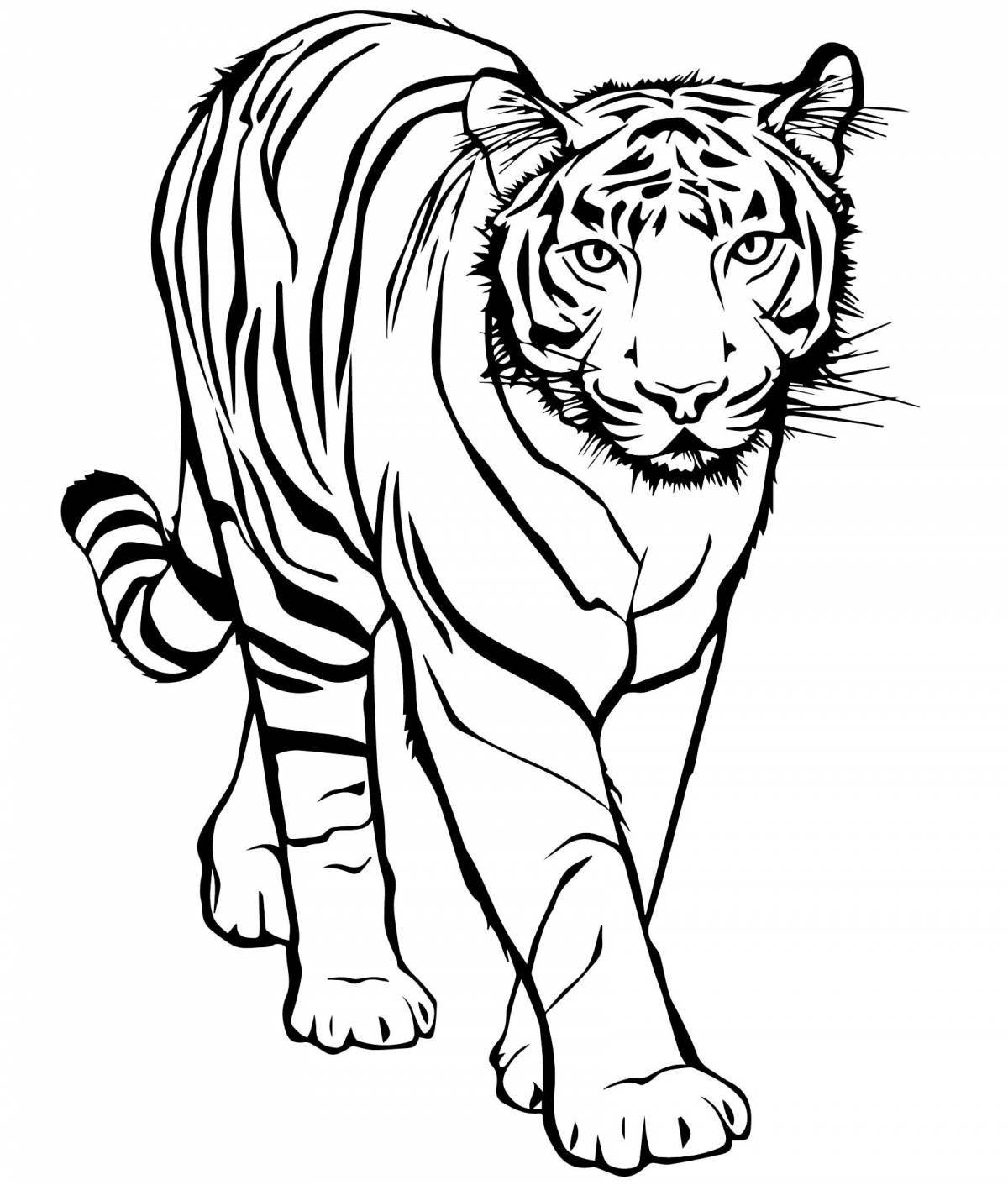 Раскраска очаровательный белый тигр