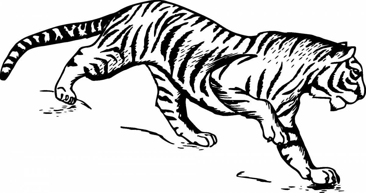 Увлекательная раскраска «белый тигр»