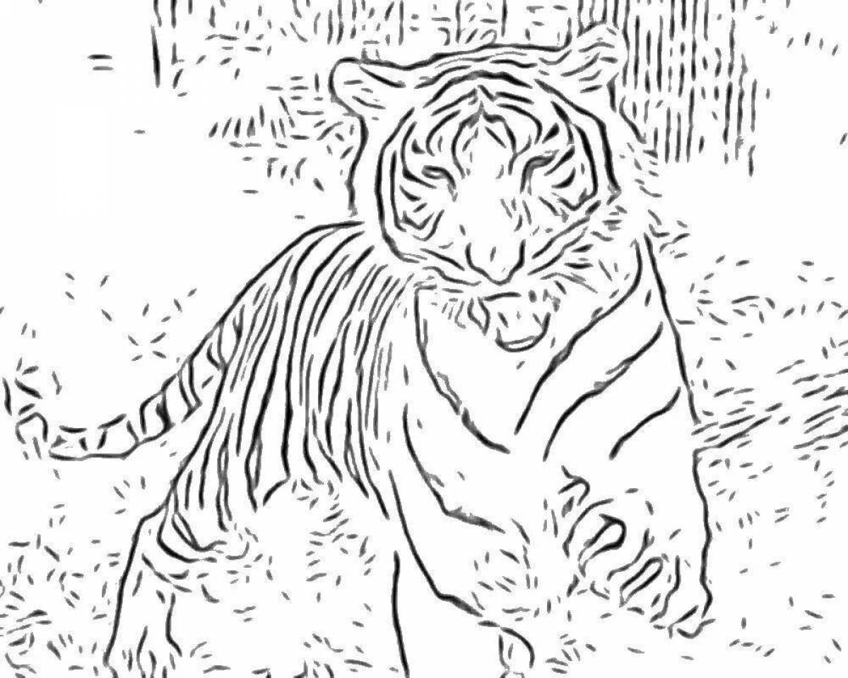 Удивительная страница раскраски белого тигра