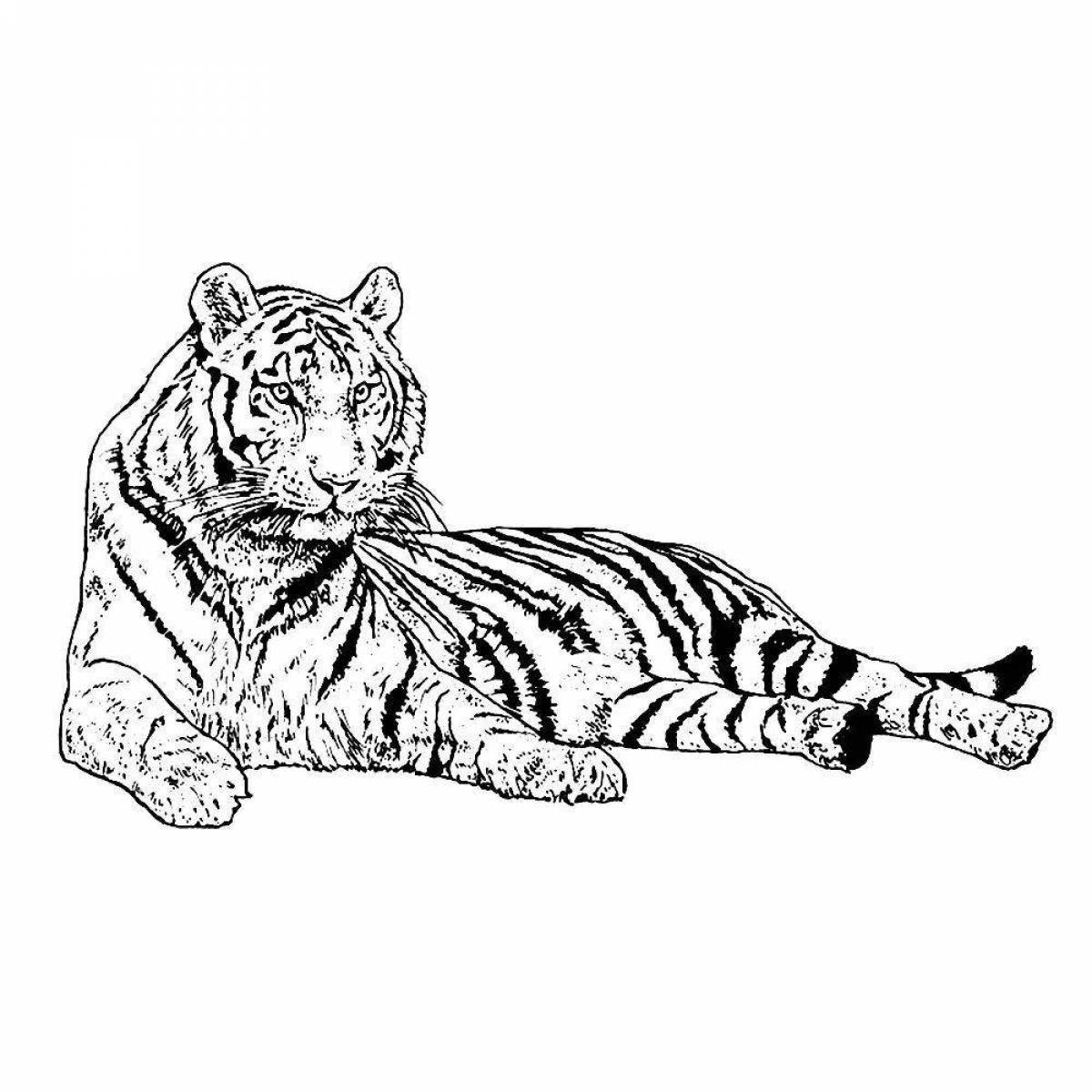 Flawless white tiger coloring page