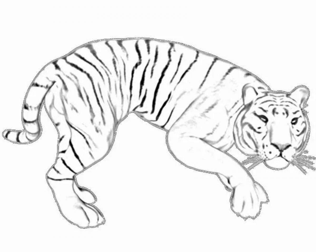 Coloring book wonderful white tiger