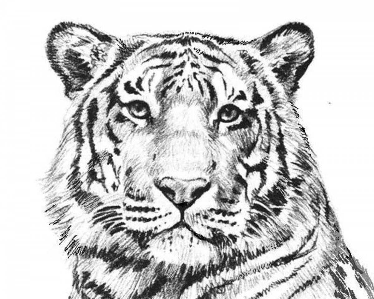 Wonderful white tiger coloring page