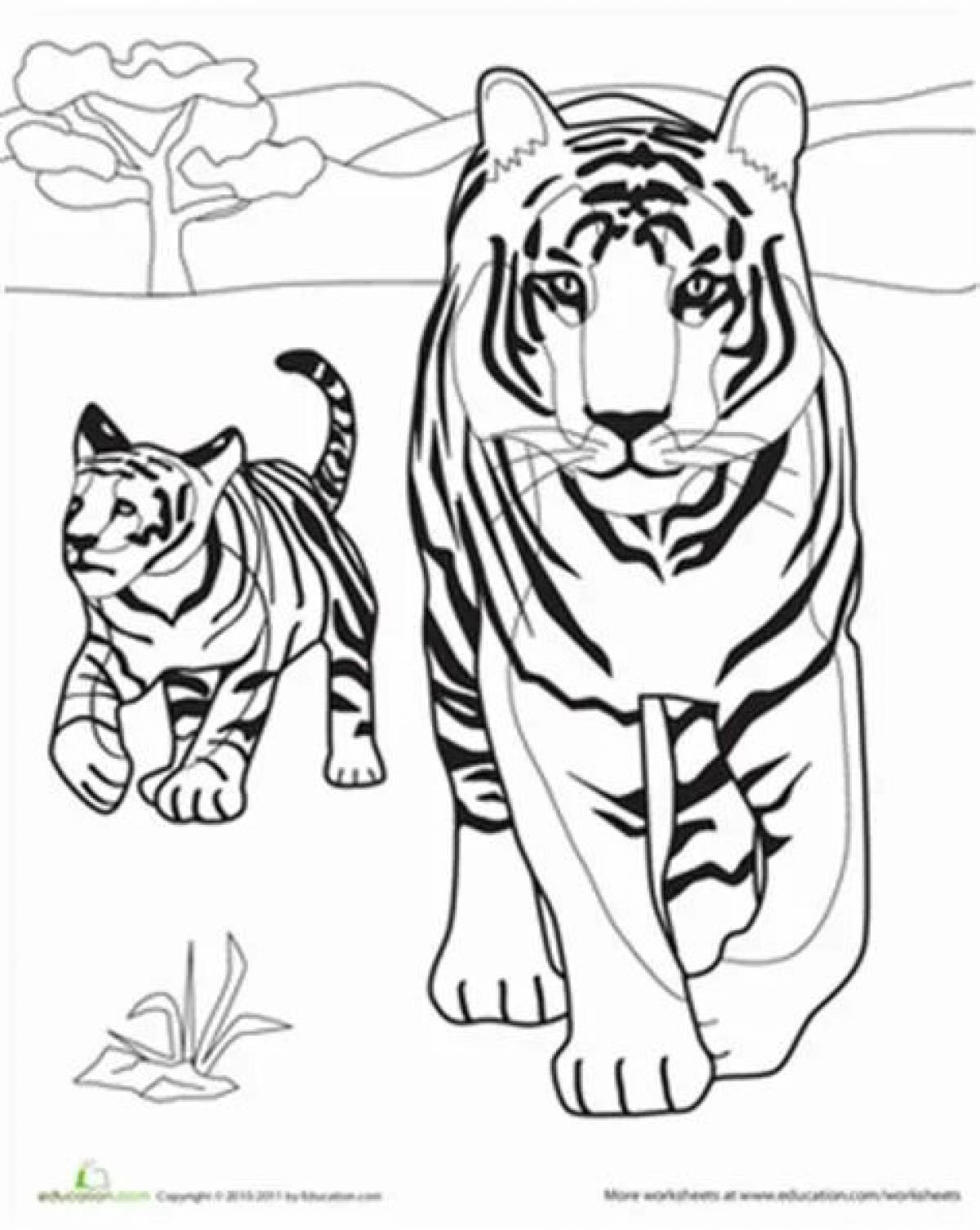 Coloring book magnanimous white tiger
