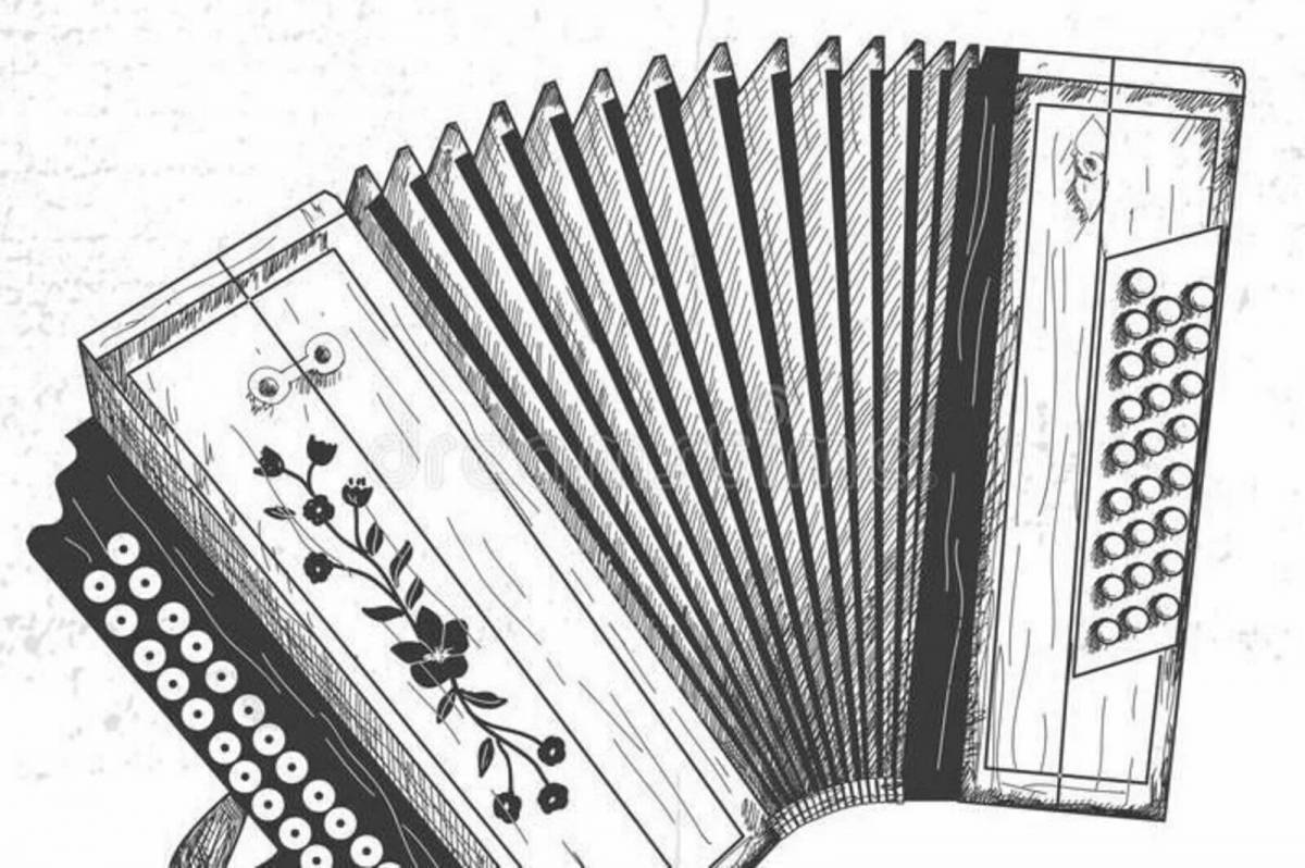 Great musical instruments for student button accordion