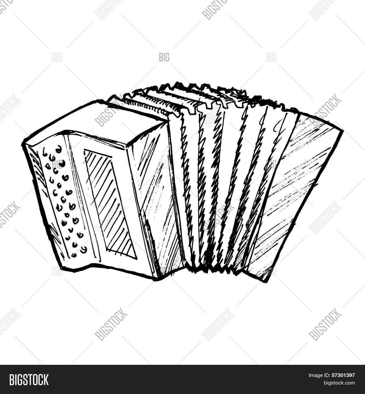 Photo Outstanding musical instruments for youth button accordion with names