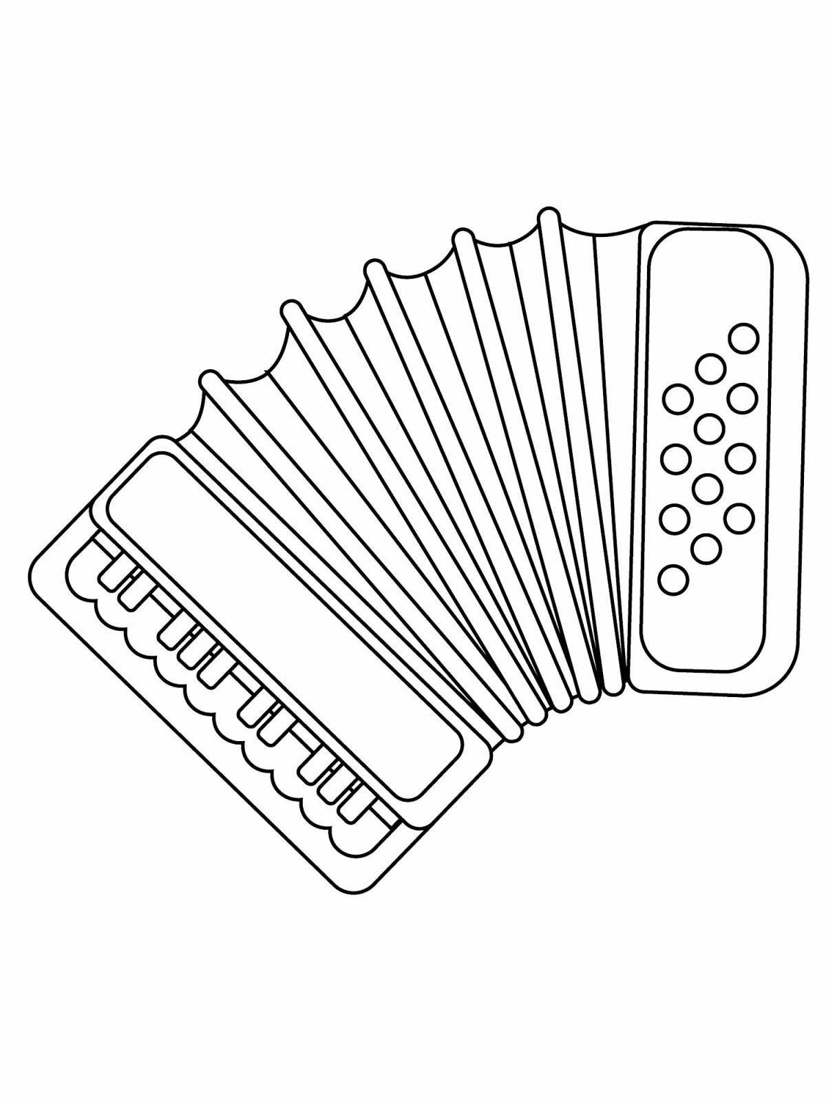 Beautiful musical instruments for button accordion for students with names