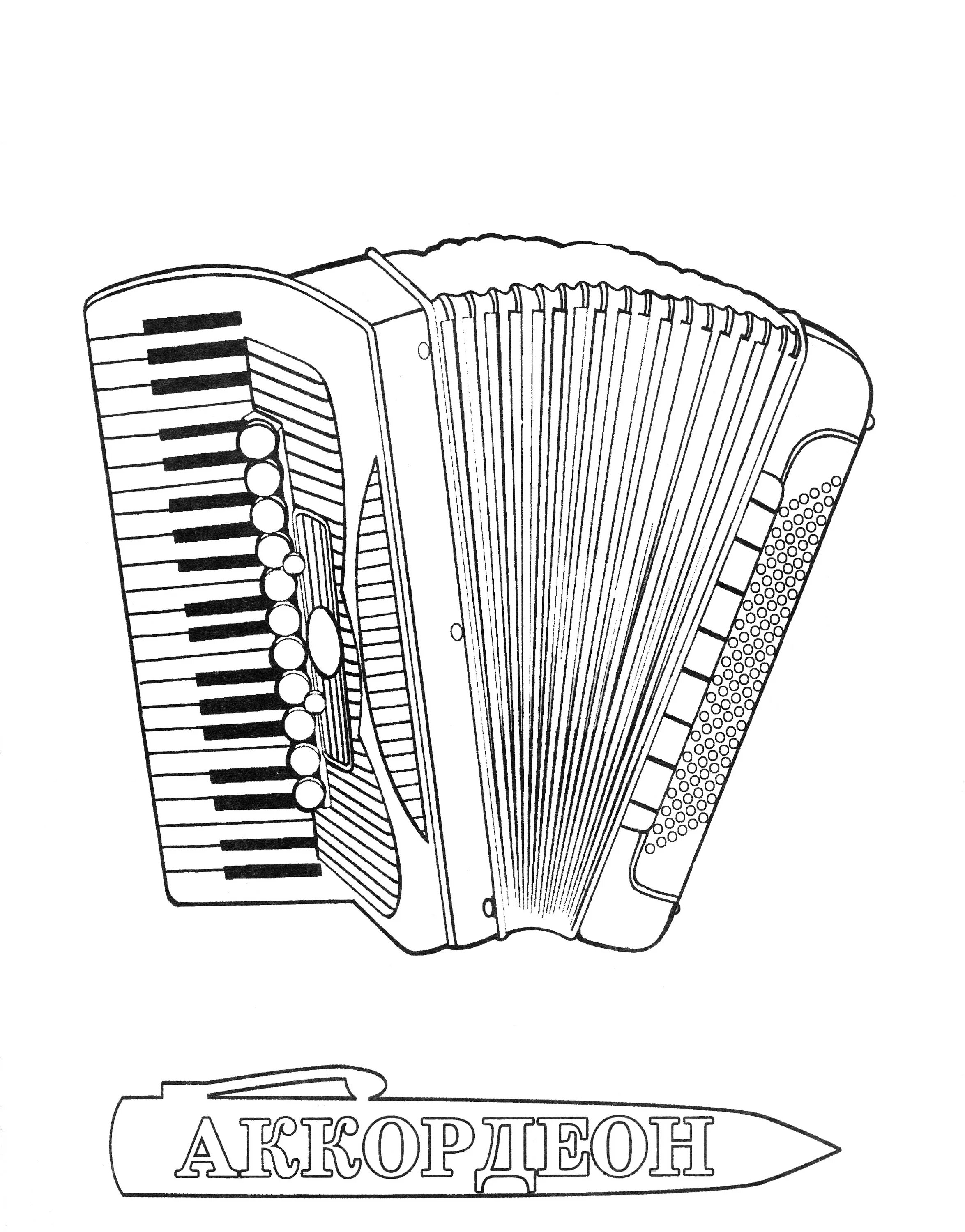 Distinctive bayan musical instruments for students with labels