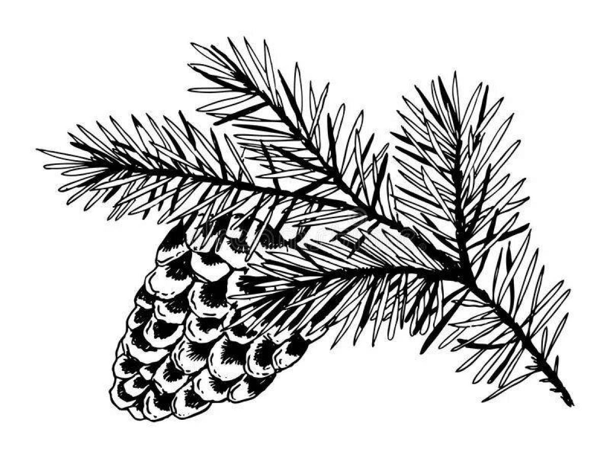 Coloring book glowing spruce branch