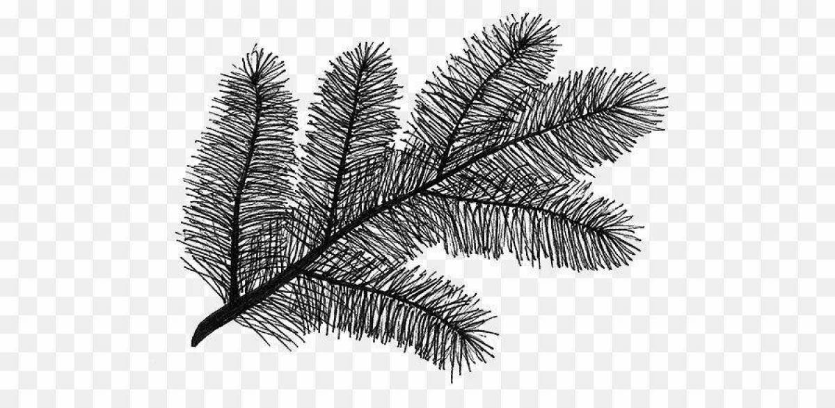 Coloring exotic spruce branch