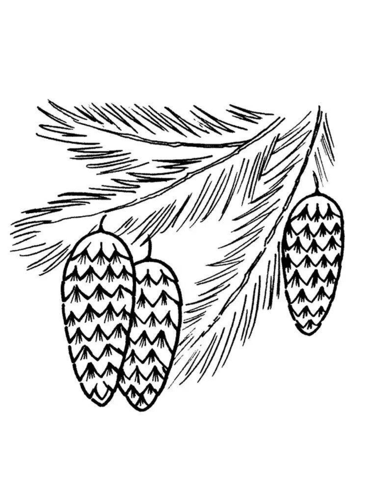 Coloring page blooming spruce branch