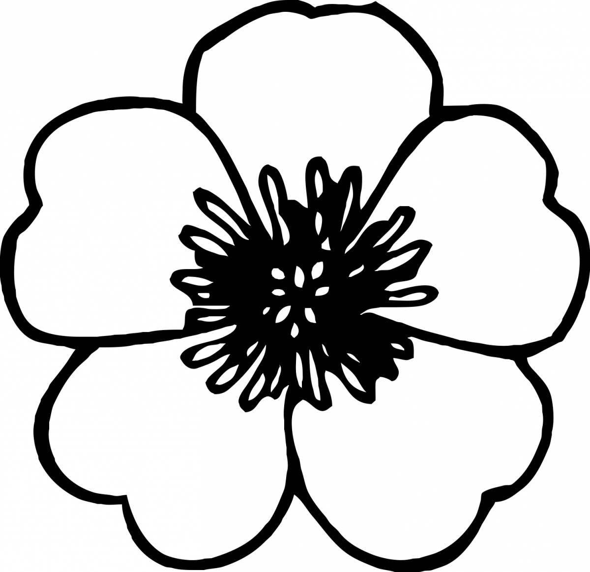 Elegant flower coloring book