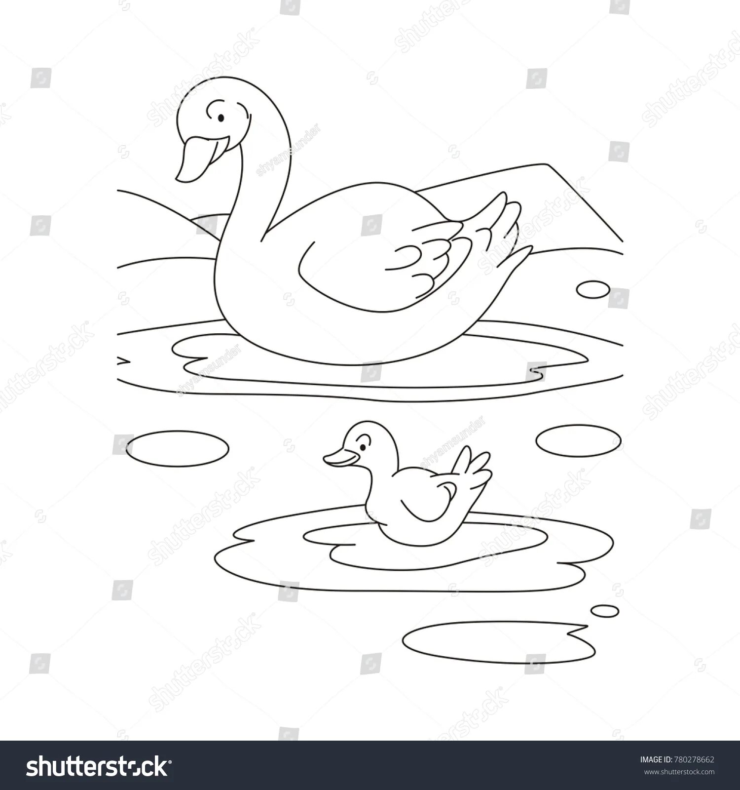 Fairy gray neck coloring page for kids