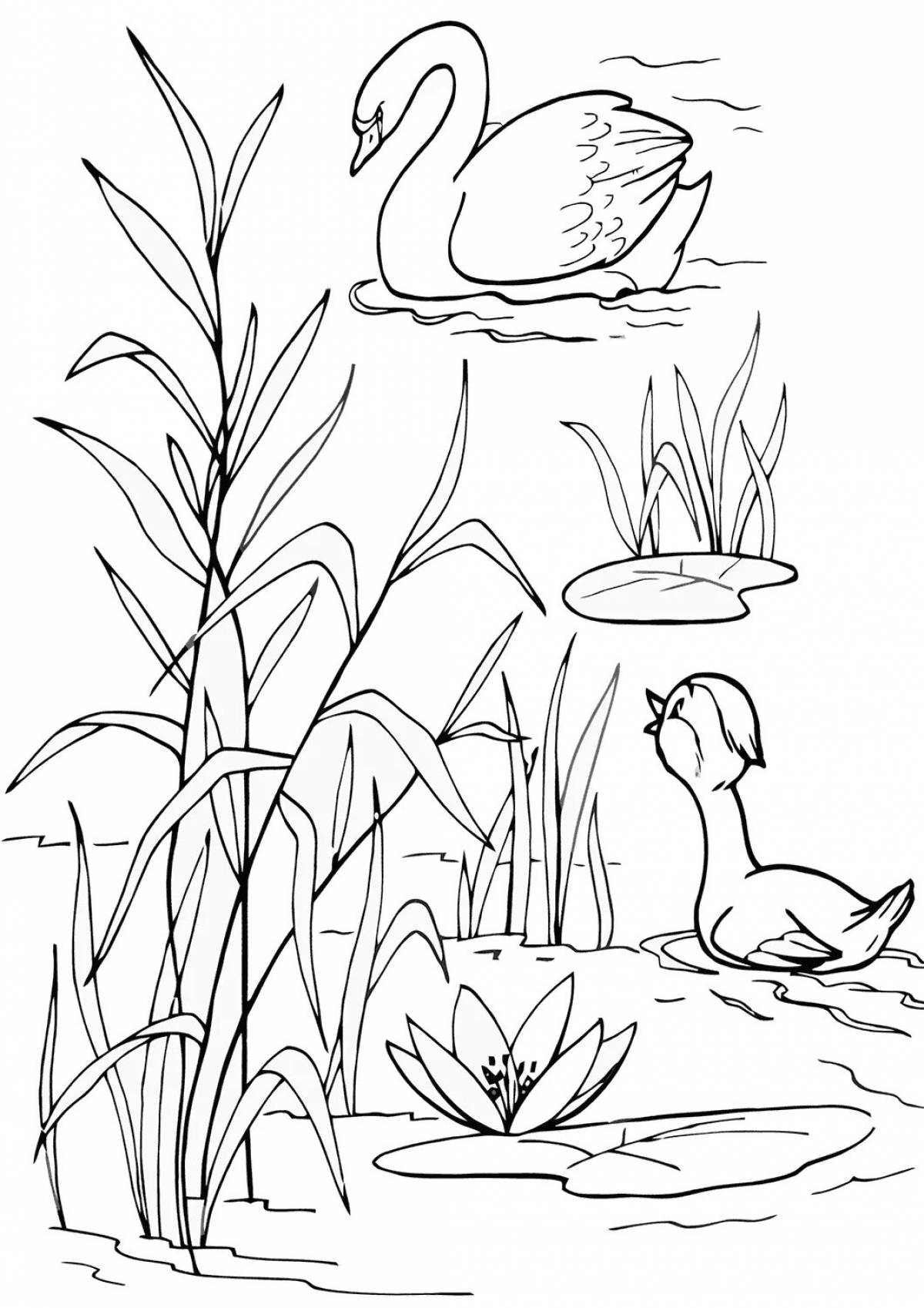 Fun coloring gray neck for children