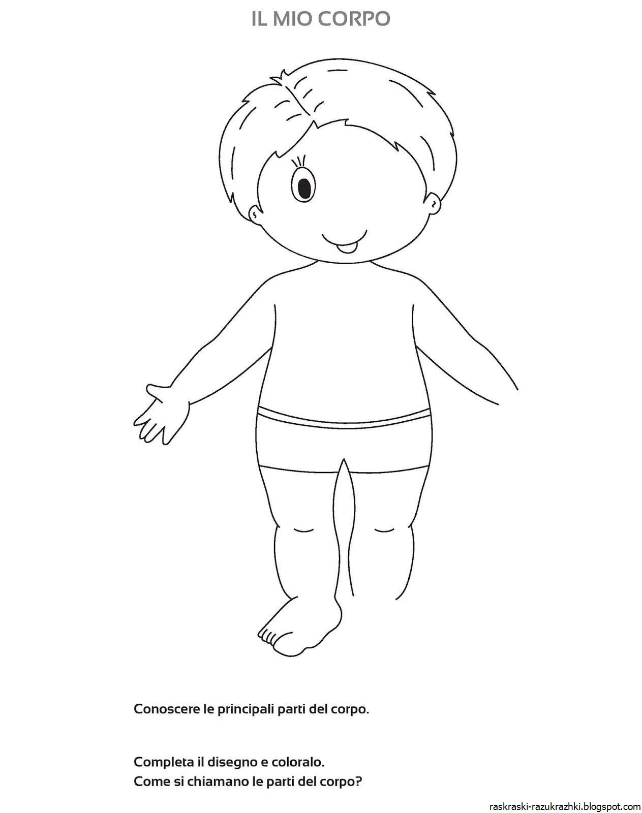 Fun human structure coloring book for preschoolers