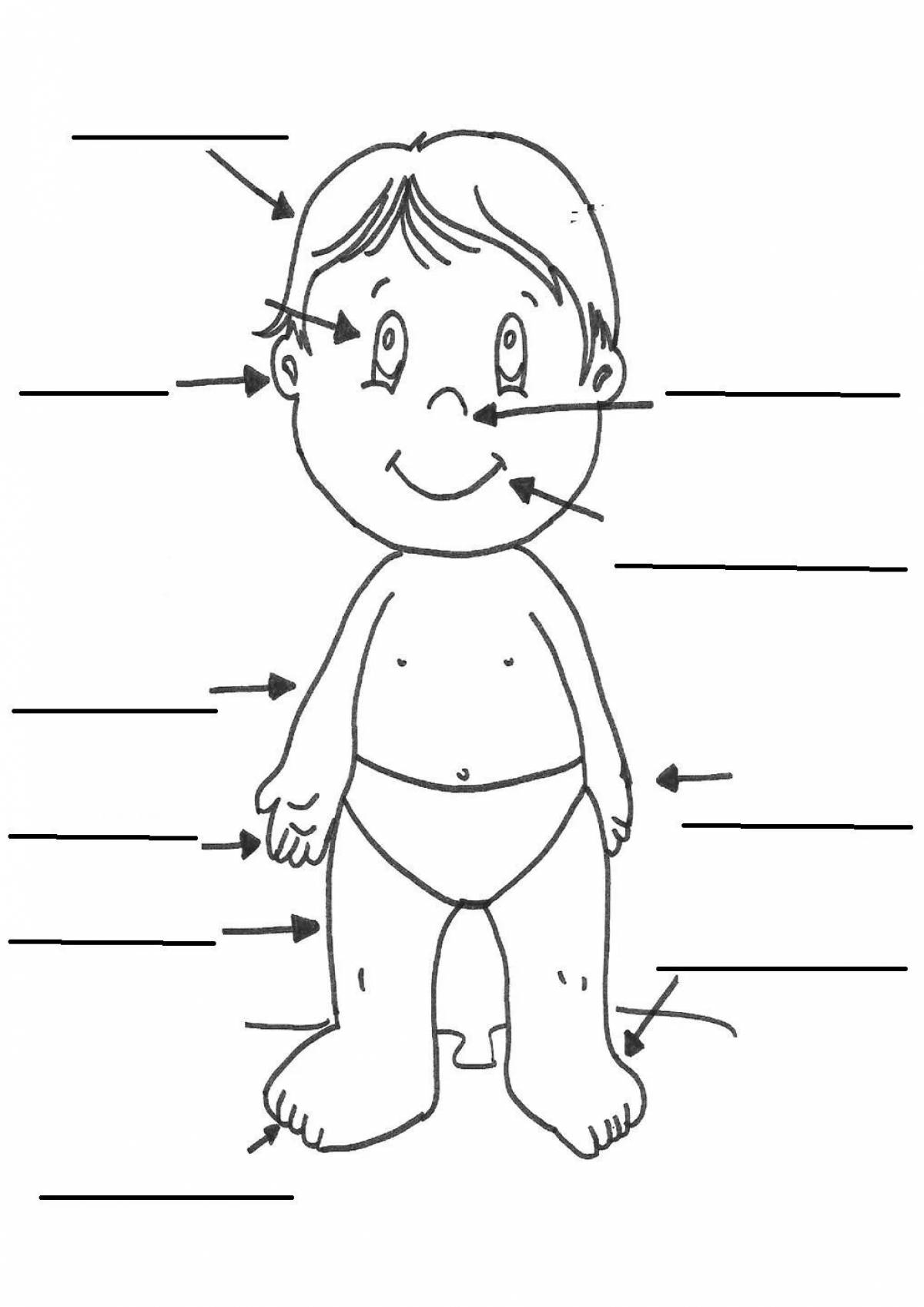Creative human body coloring page for kids