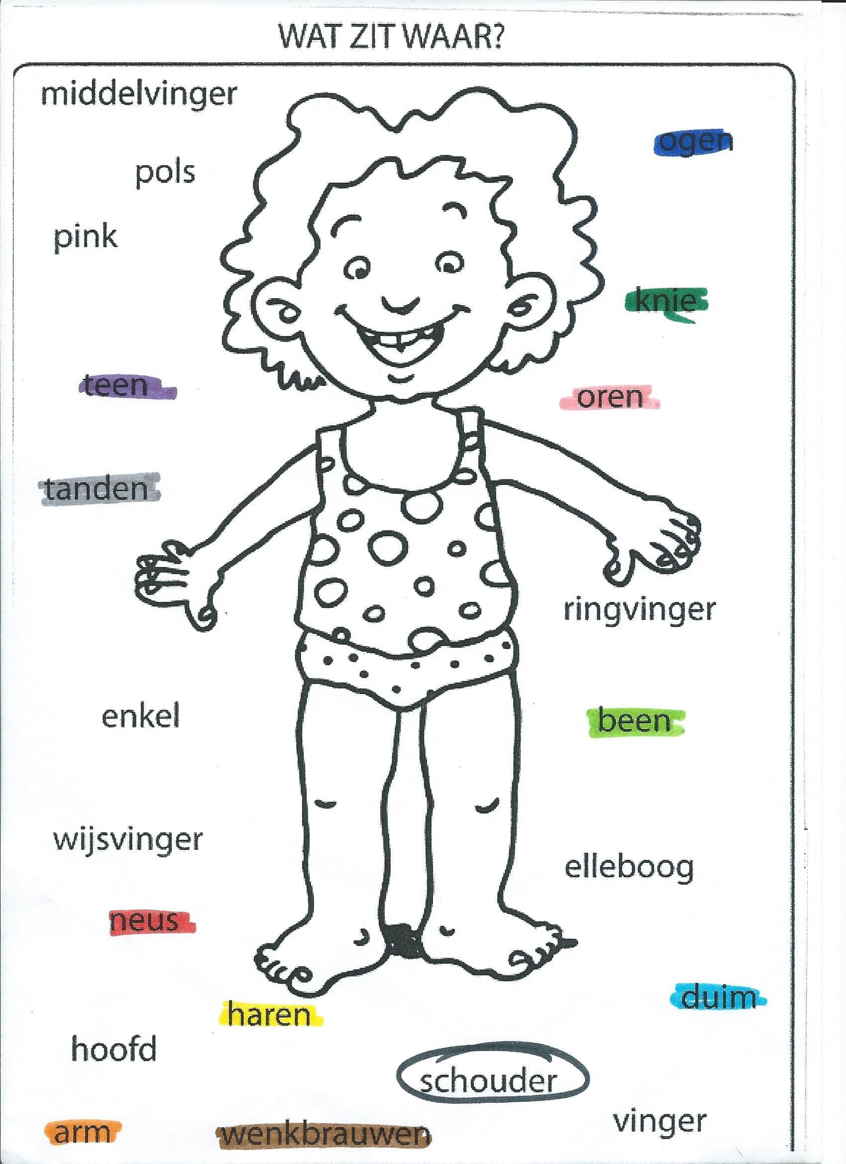 Colorful juvenile human body coloring page