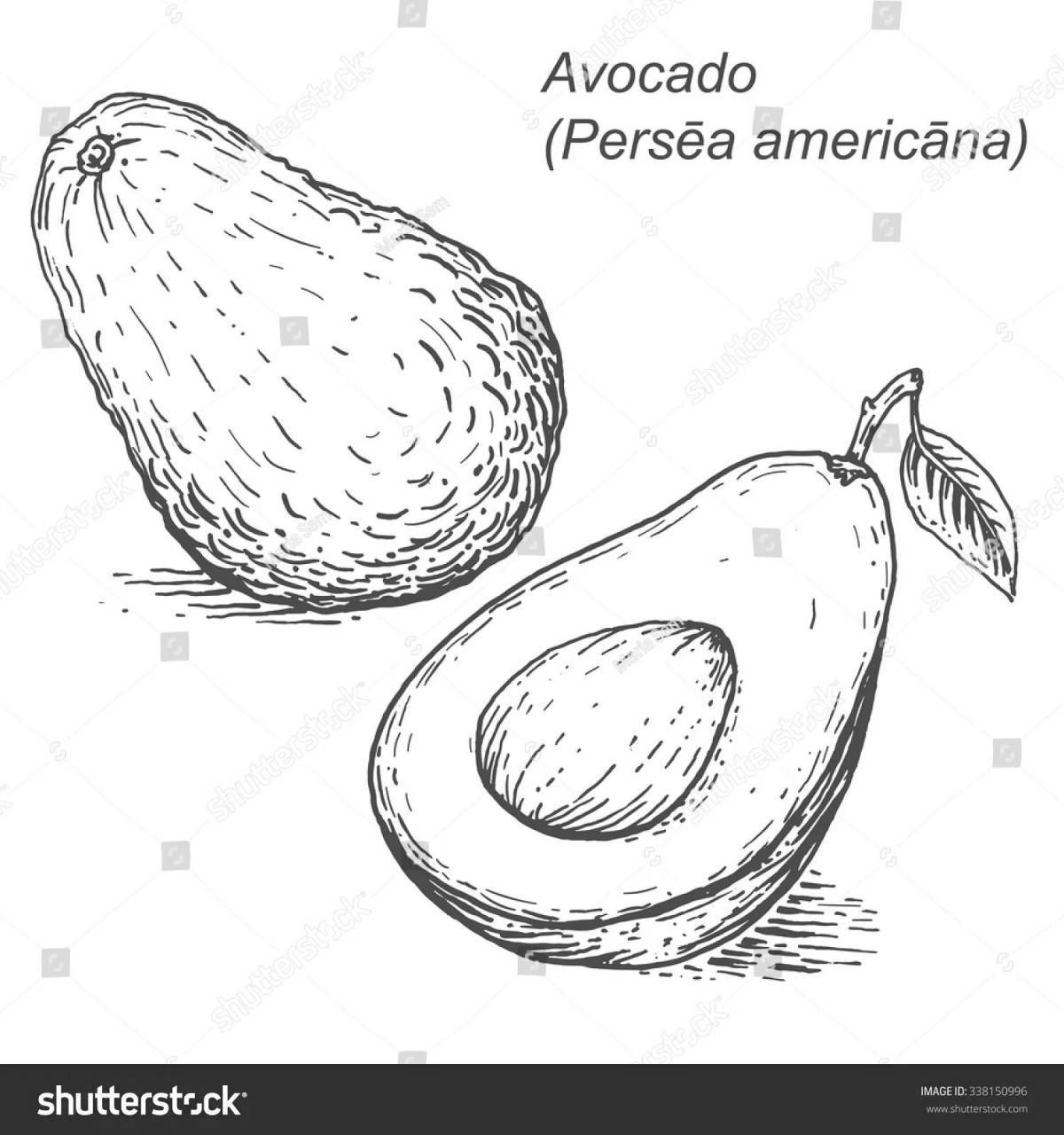 Coloring avocado coloring page for kids