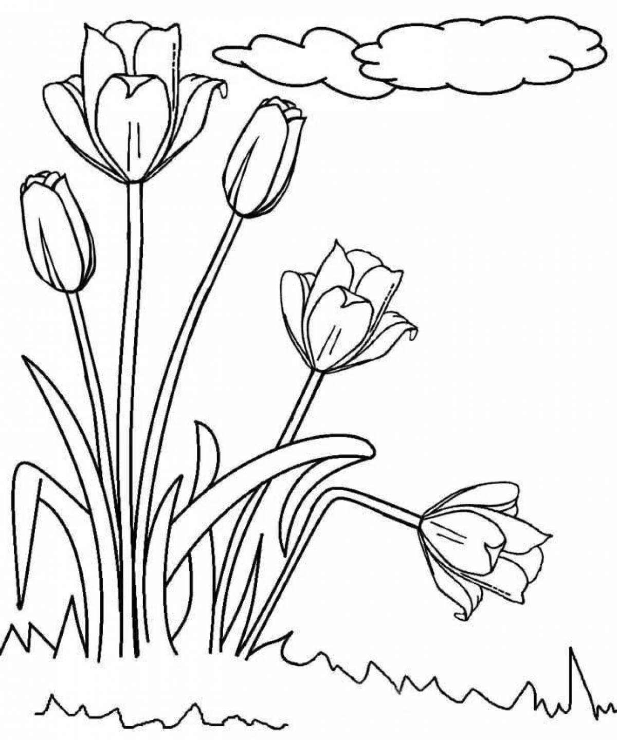 Colorful spring flowers coloring book