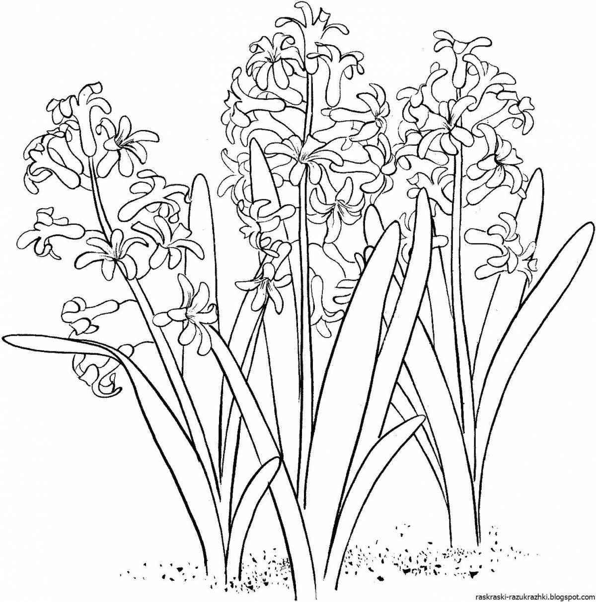 Delightful spring flowers coloring book