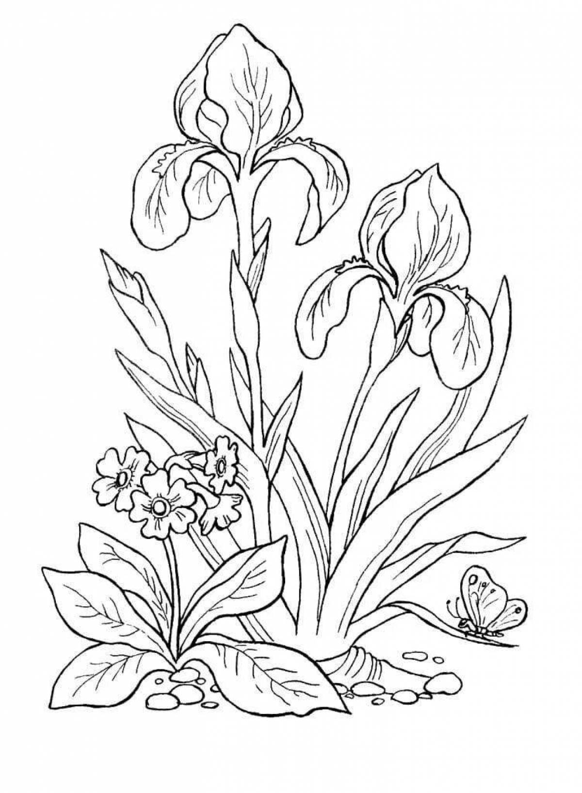 Colouring funny spring flowers