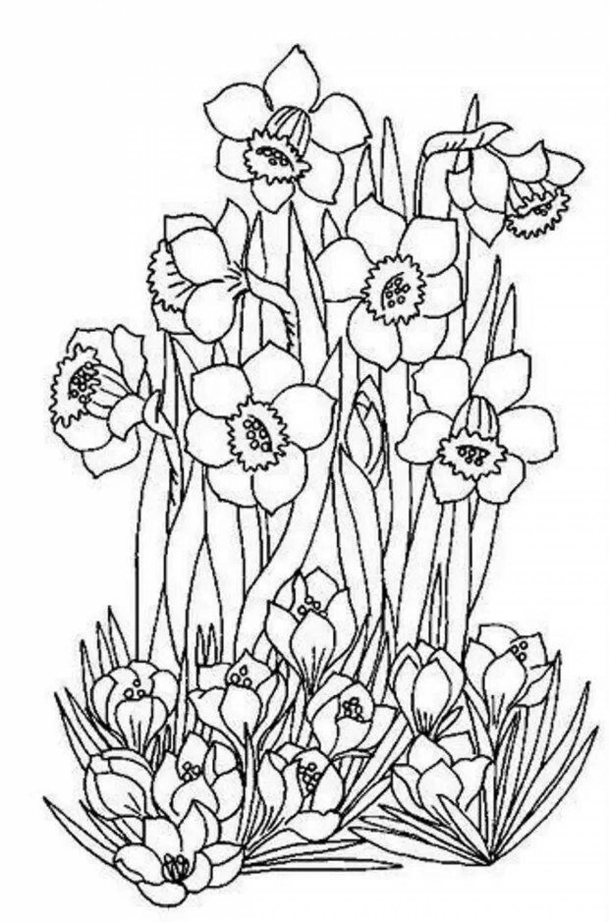 Beautiful spring flowers coloring book