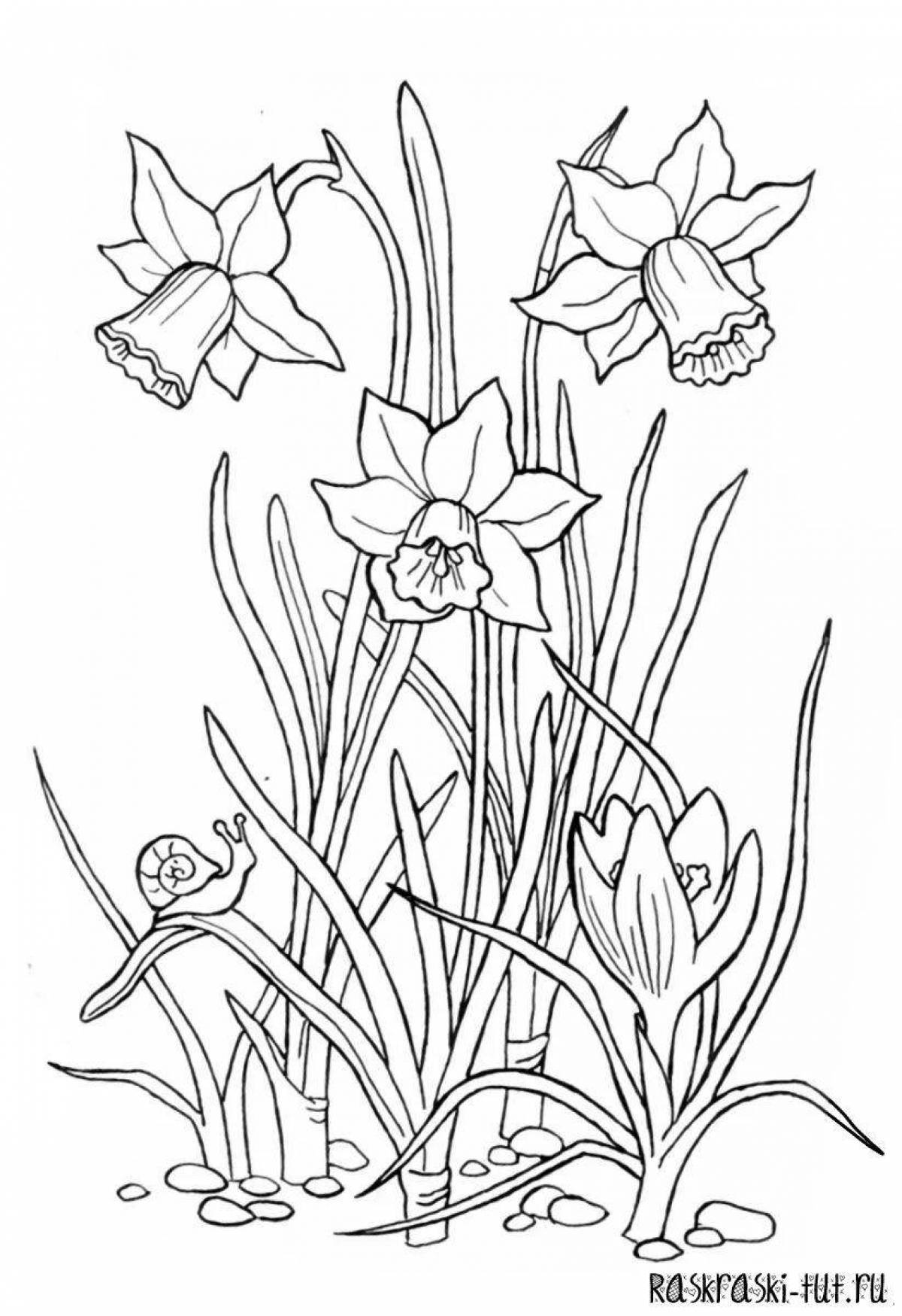 Adorable spring flowers coloring book
