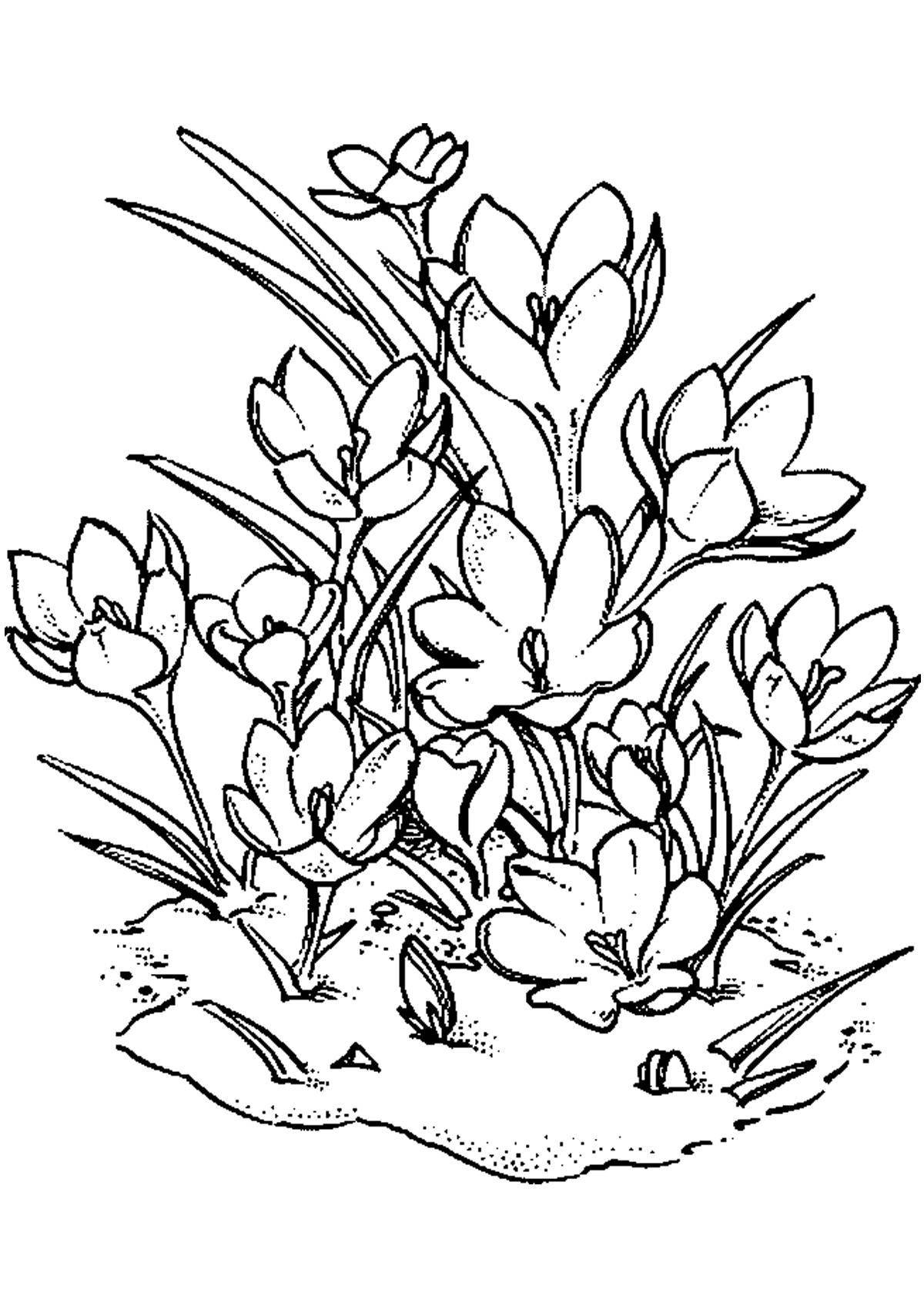 Glowing spring flowers coloring page