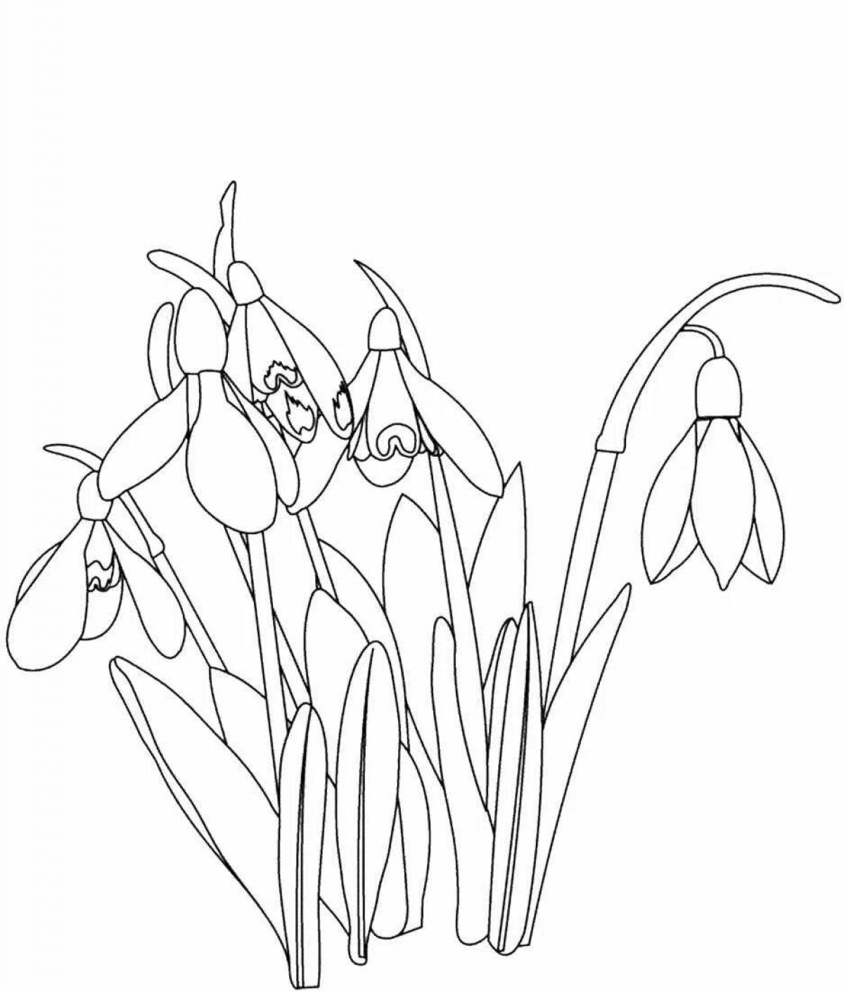 Amazing spring flowers coloring page