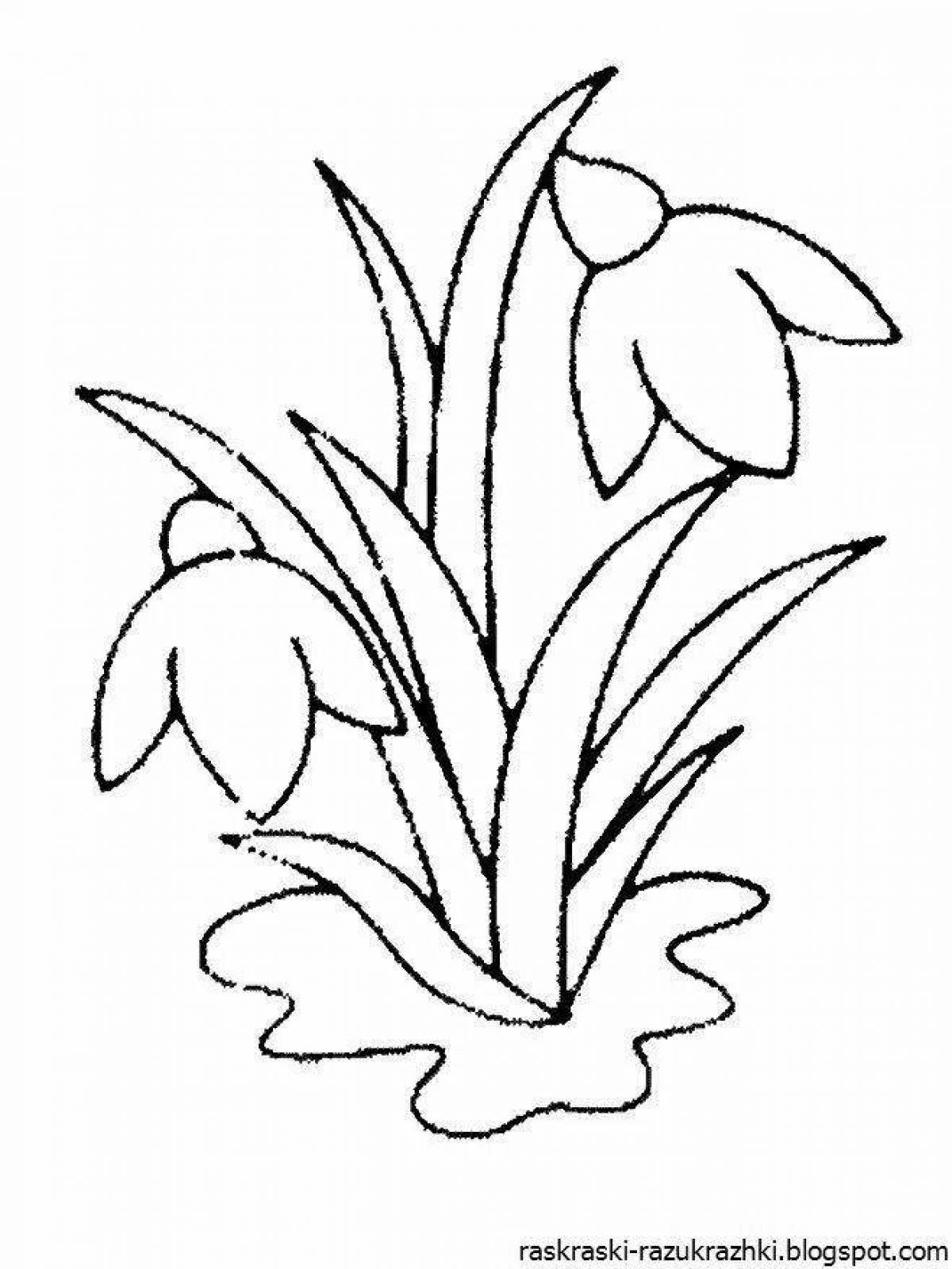 Exotic spring flowers coloring book