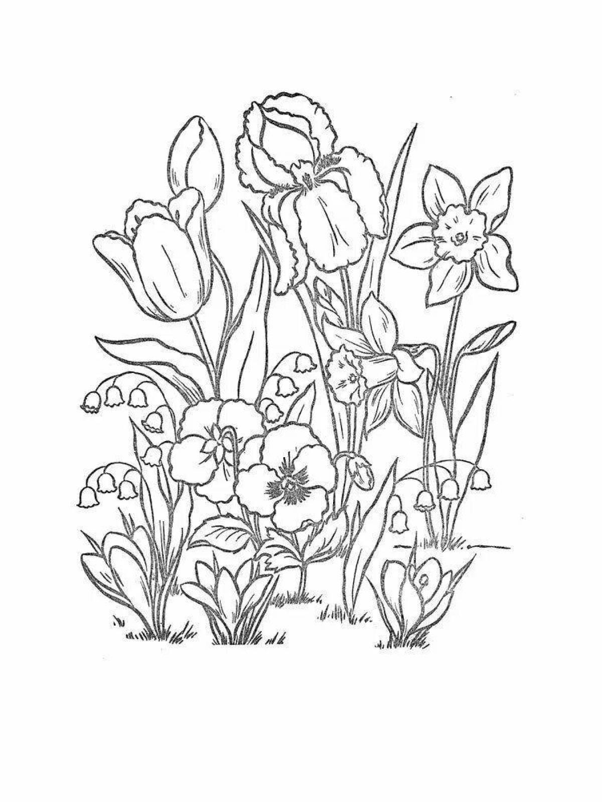 Coloring page dazzling spring flowers