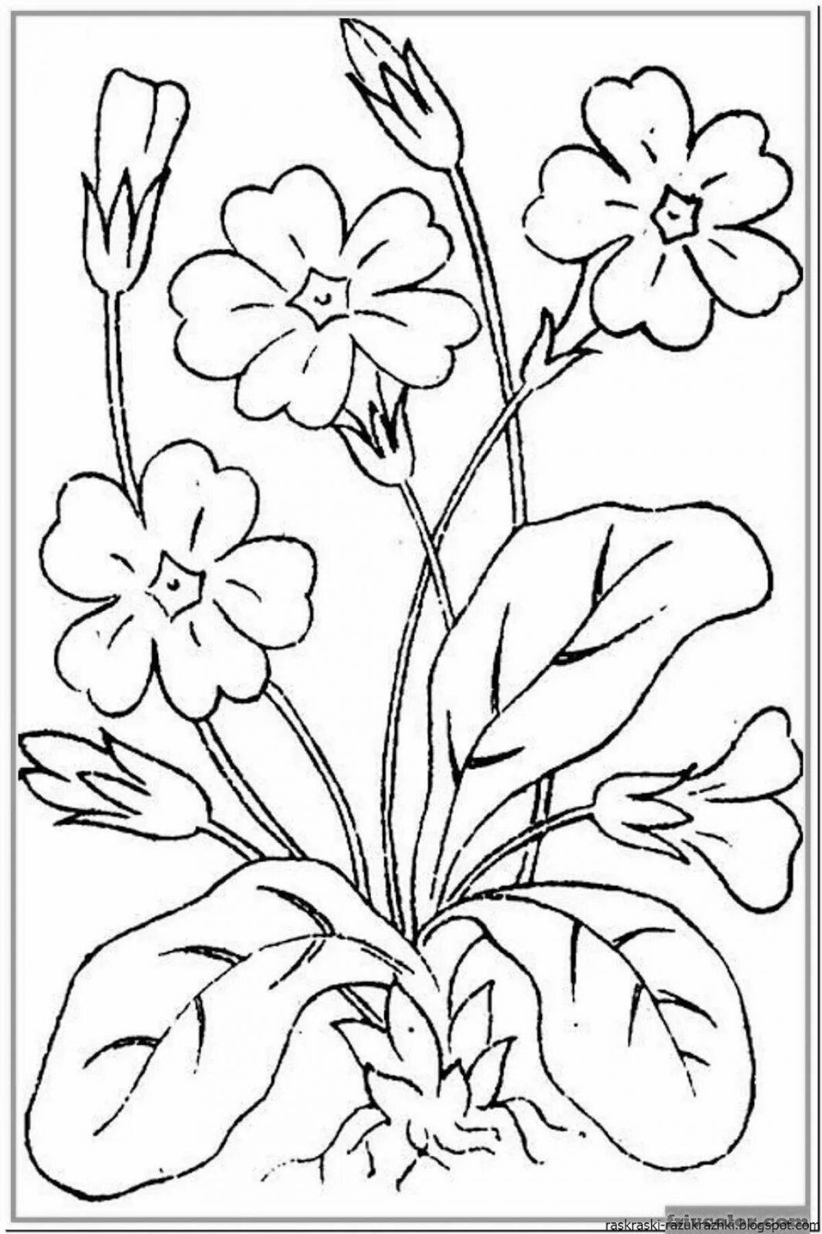 Coloring page captivating spring flowers