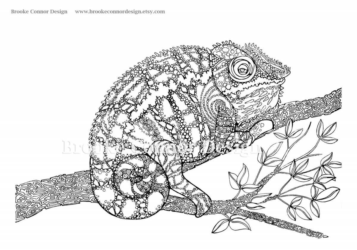 Peaceful coloring antistress chameleon