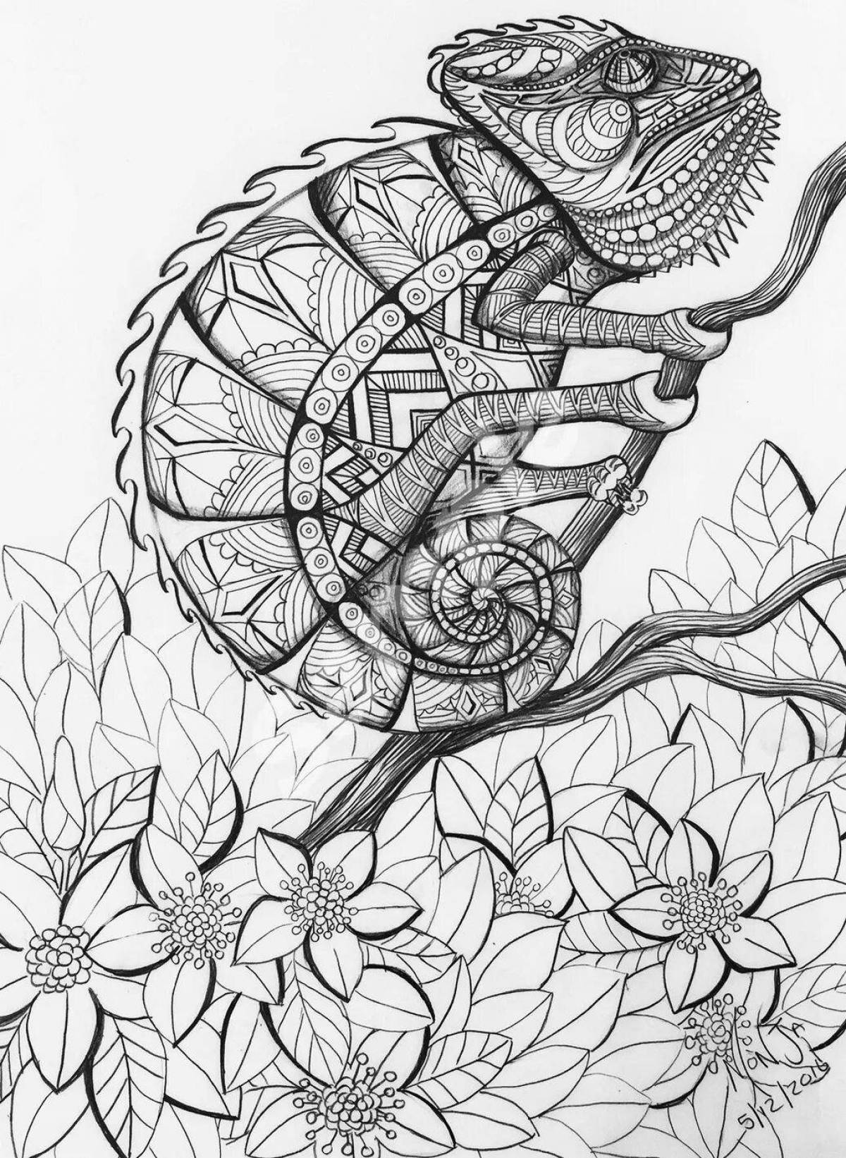 Exciting anti-stress chameleon coloring book