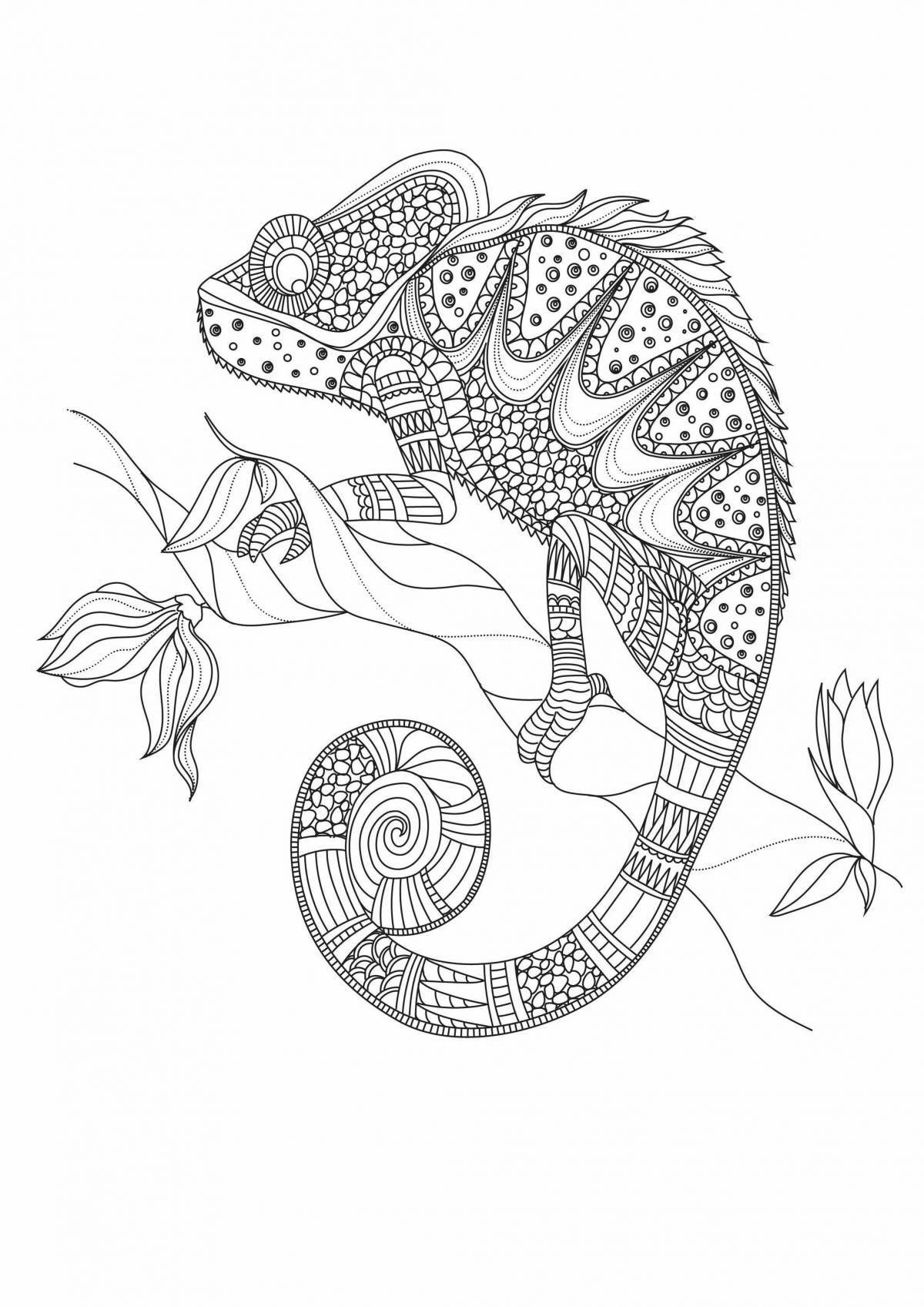 Wonderful coloring antistress chameleon