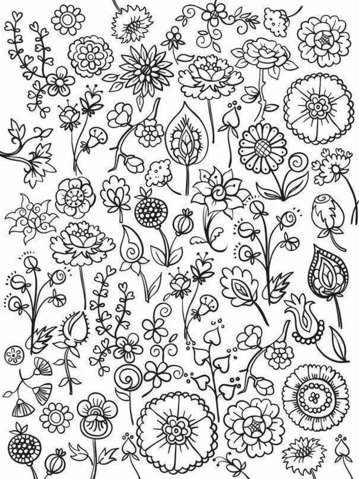 Calm anti-stress little coloring book