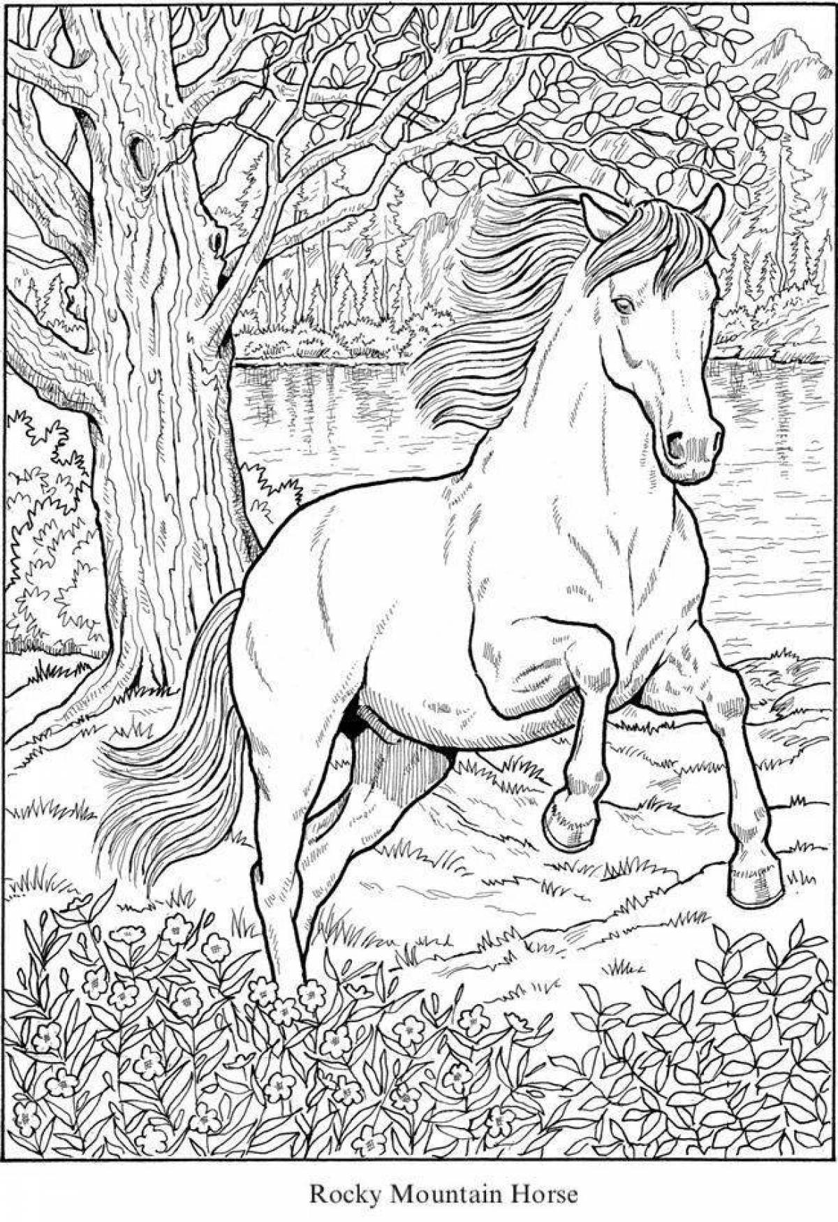 Элегантная раскраска красивые лошади