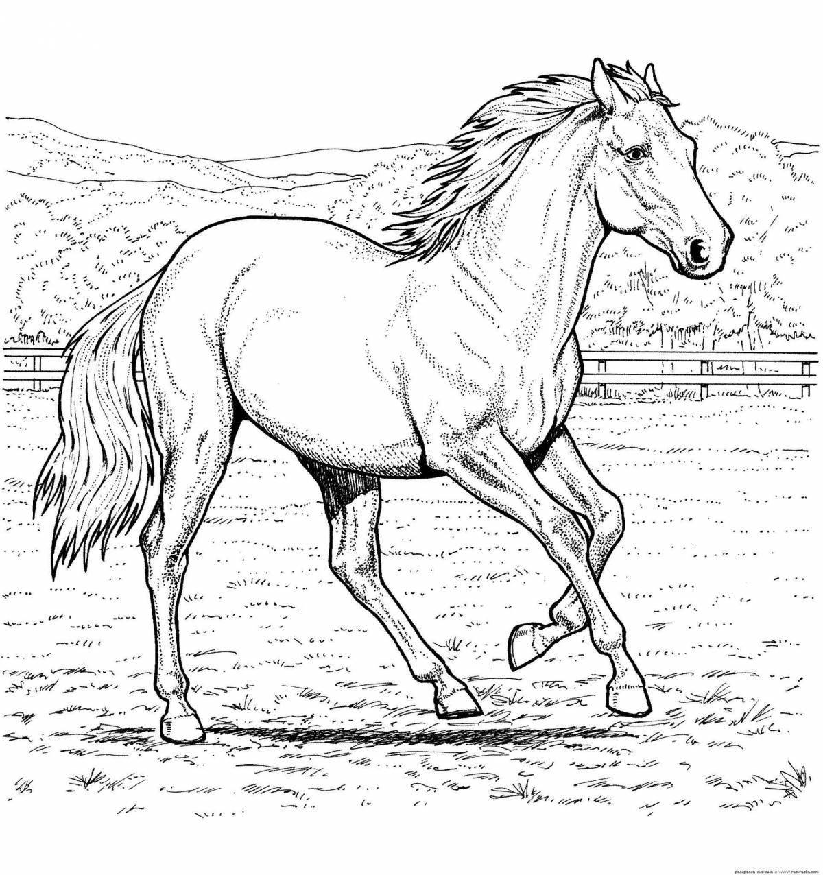 Королевская раскраска красивые лошади