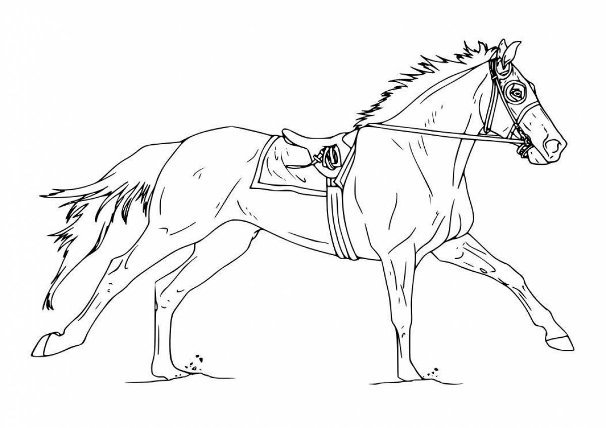 Грандиозная раскраска красивые лошади