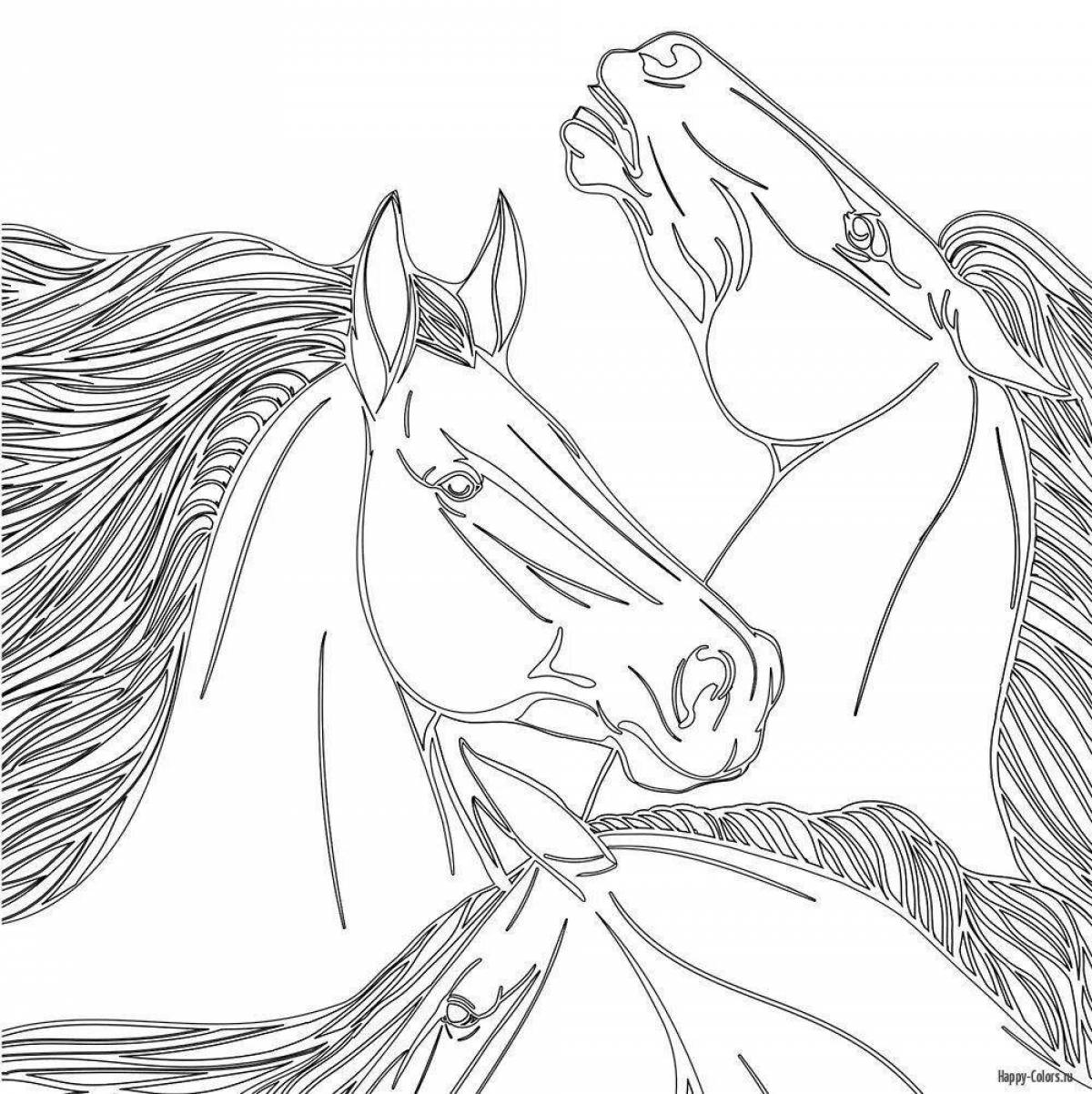 Coloring page exalted beautiful horses