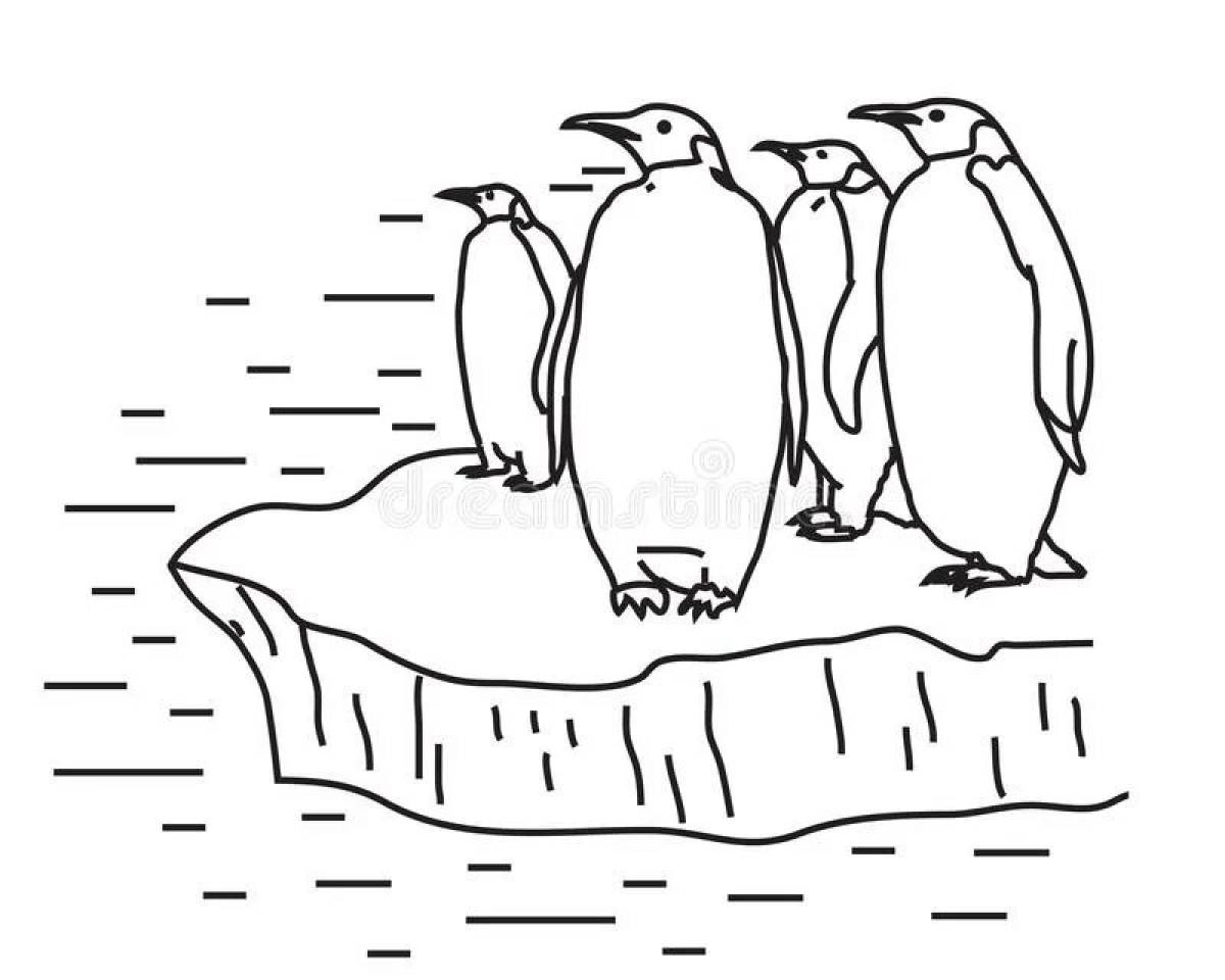 Раскраска Пингвин на льдине для детей