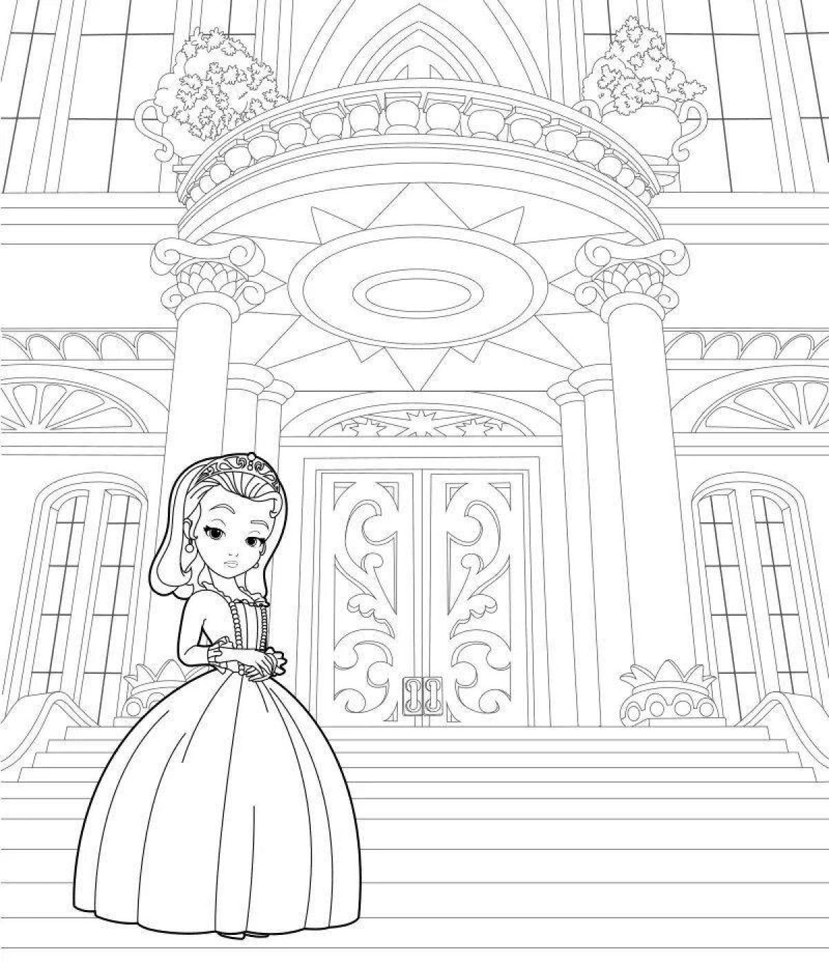 Exquisite coloring princess in the castle