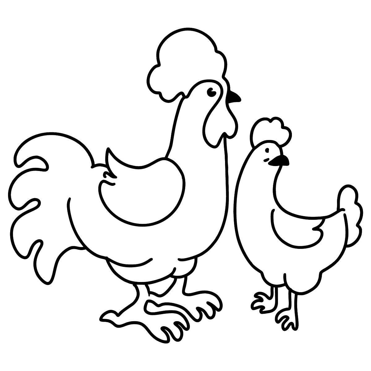 Colorful cockerel coloring book for kids 2-3 years old