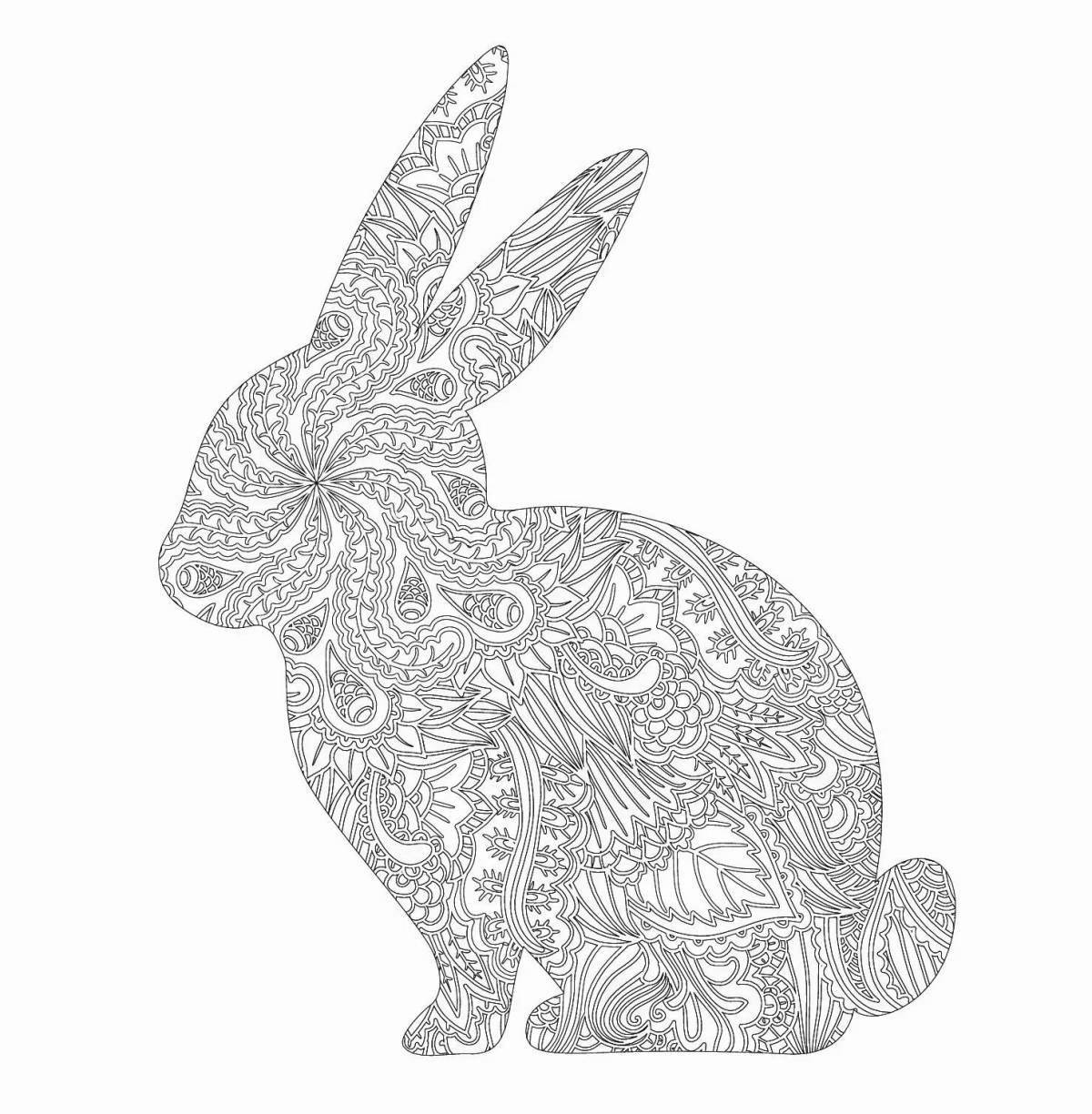 Elegant coloring book year of the rabbit 2023