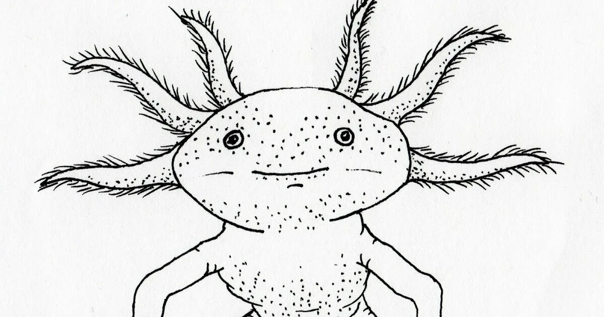 Colorful axolotl coloring book
