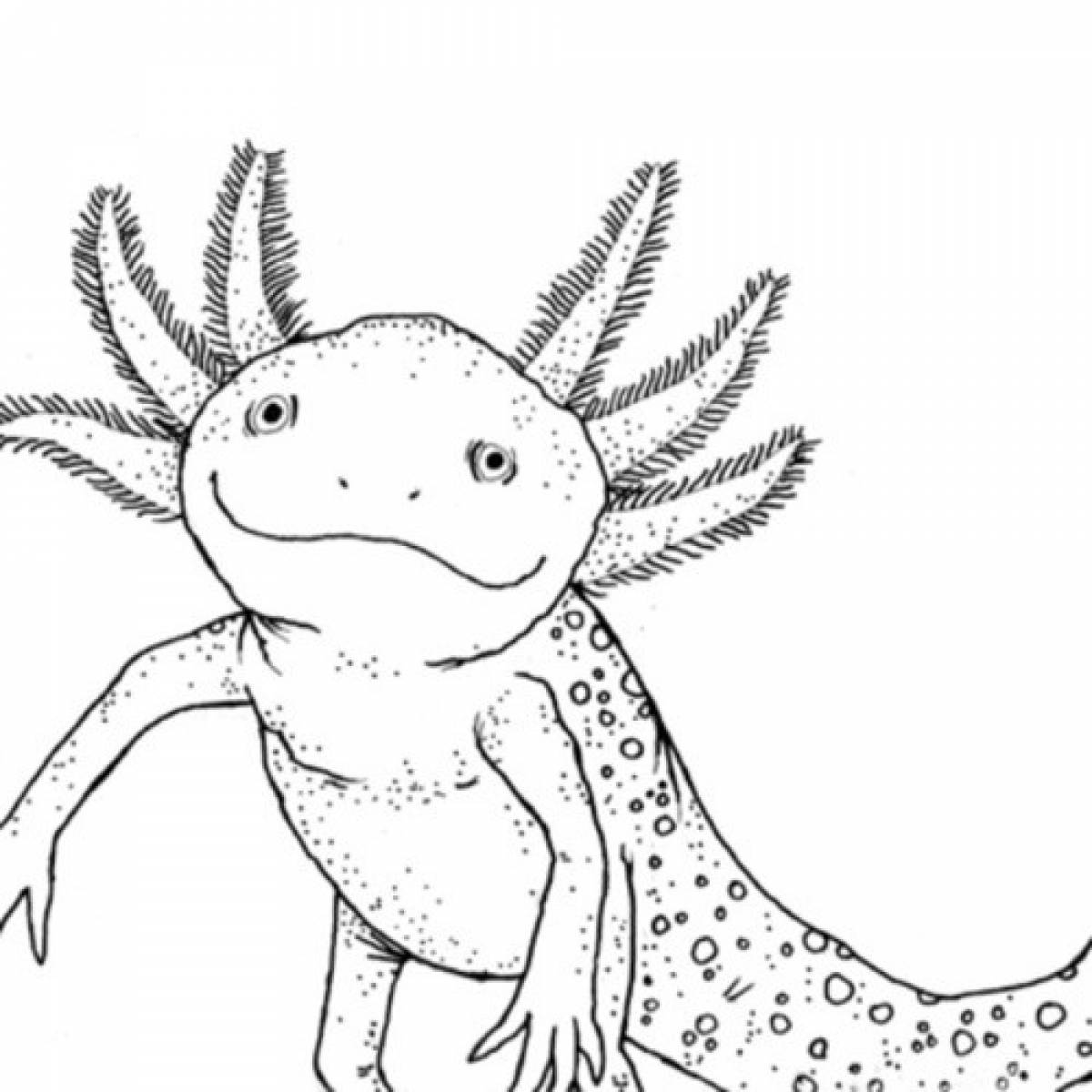 Exotic axolotl coloring book