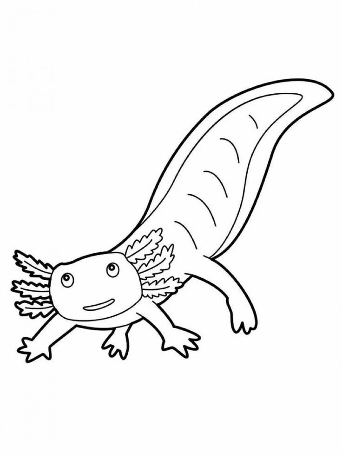 Attractive axolotl coloring