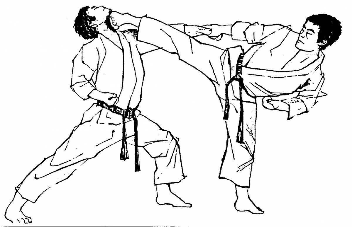 Exciting aikido coloring book